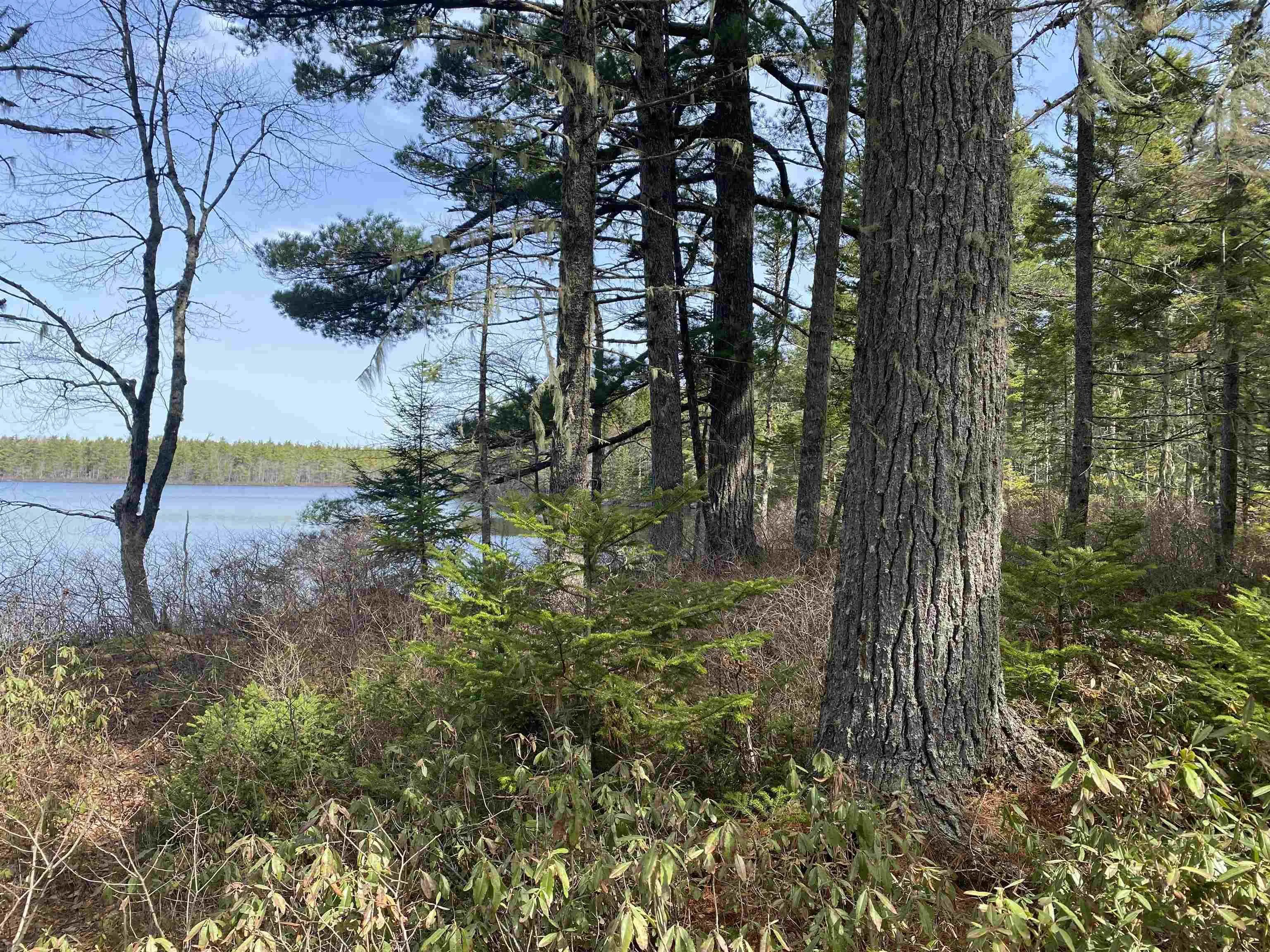 Shingle Lake Road Lot 16, New Elm Ns B4v 7m3, ,Land,For Sale,Shingle Lake,202509600
