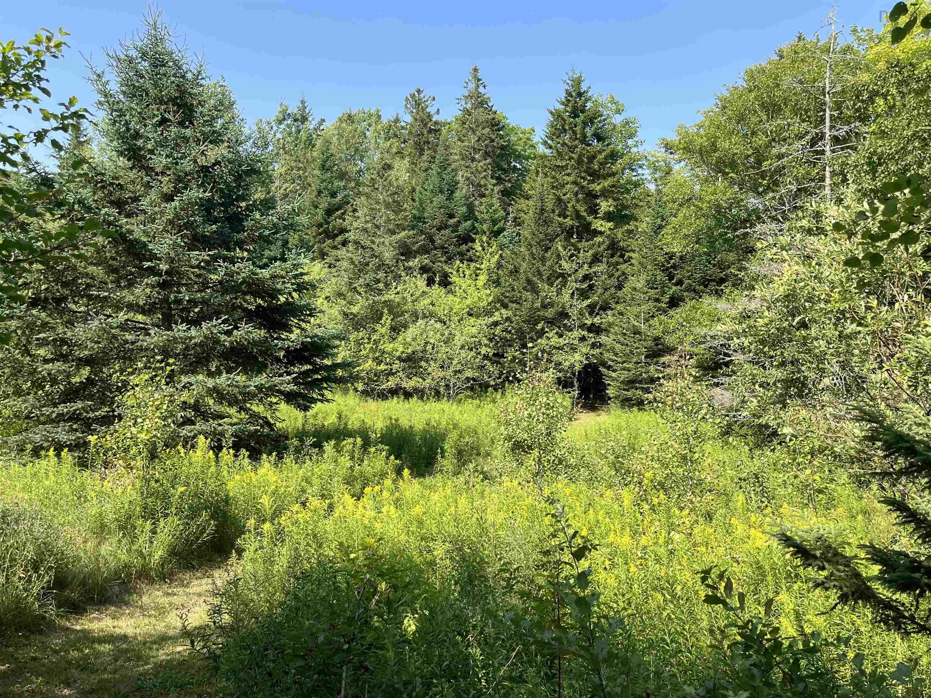 95-2 Upper Road, Londonderry, NS B0M 1M0, ,Land,For Sale,Upper,202518903