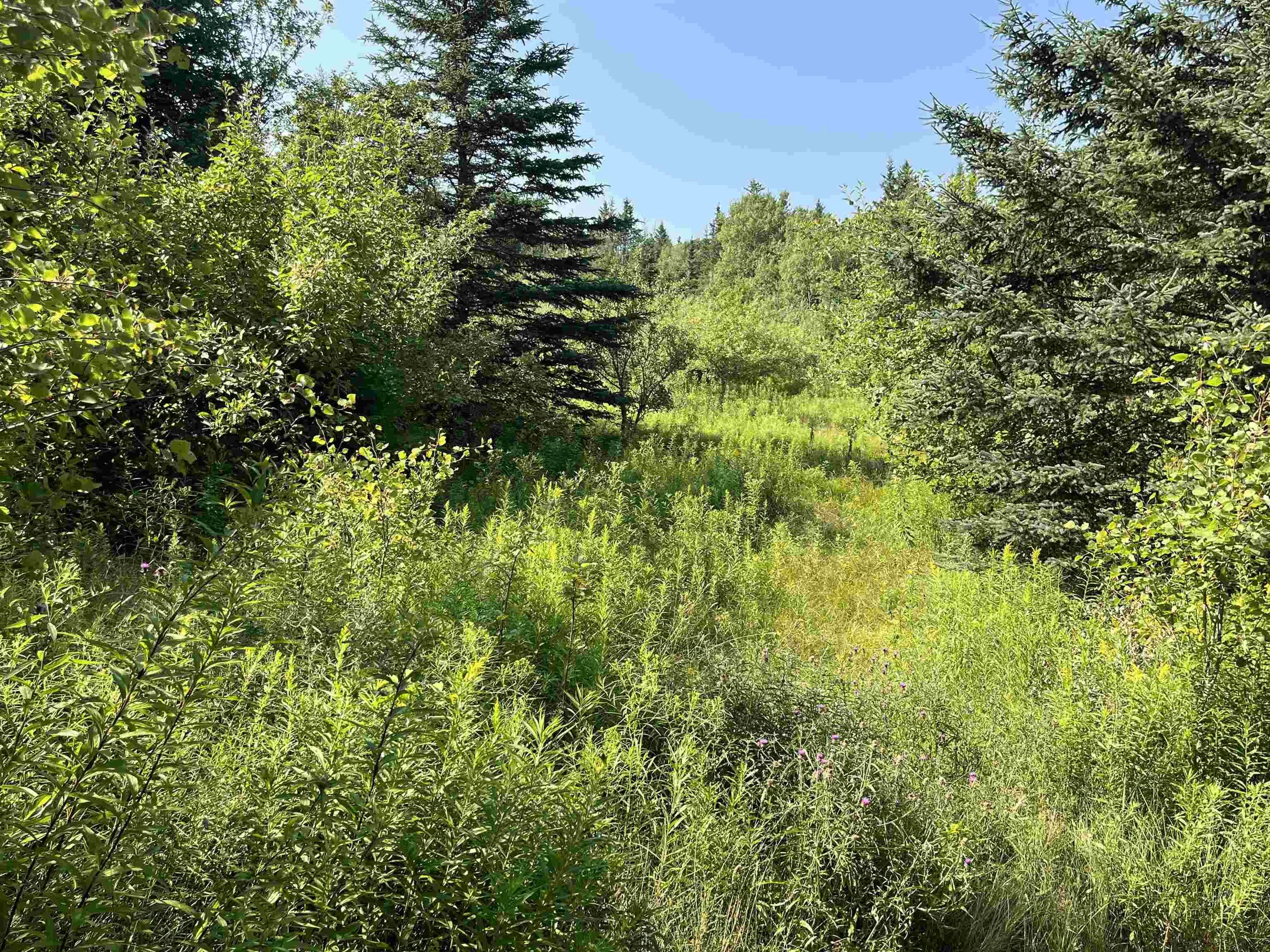 95-2 Upper Road, Londonderry, NS B0M 1M0, ,Land,For Sale,Upper,202518903
