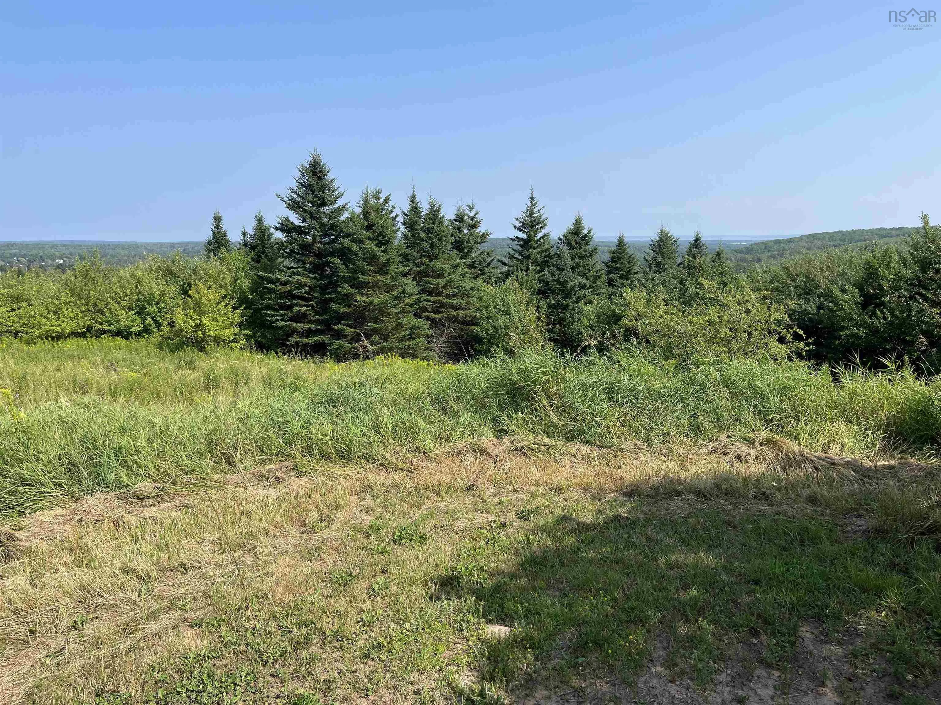 95-2 Upper Road, Londonderry, NS B0M 1M0, ,Land,For Sale,Upper,202518903