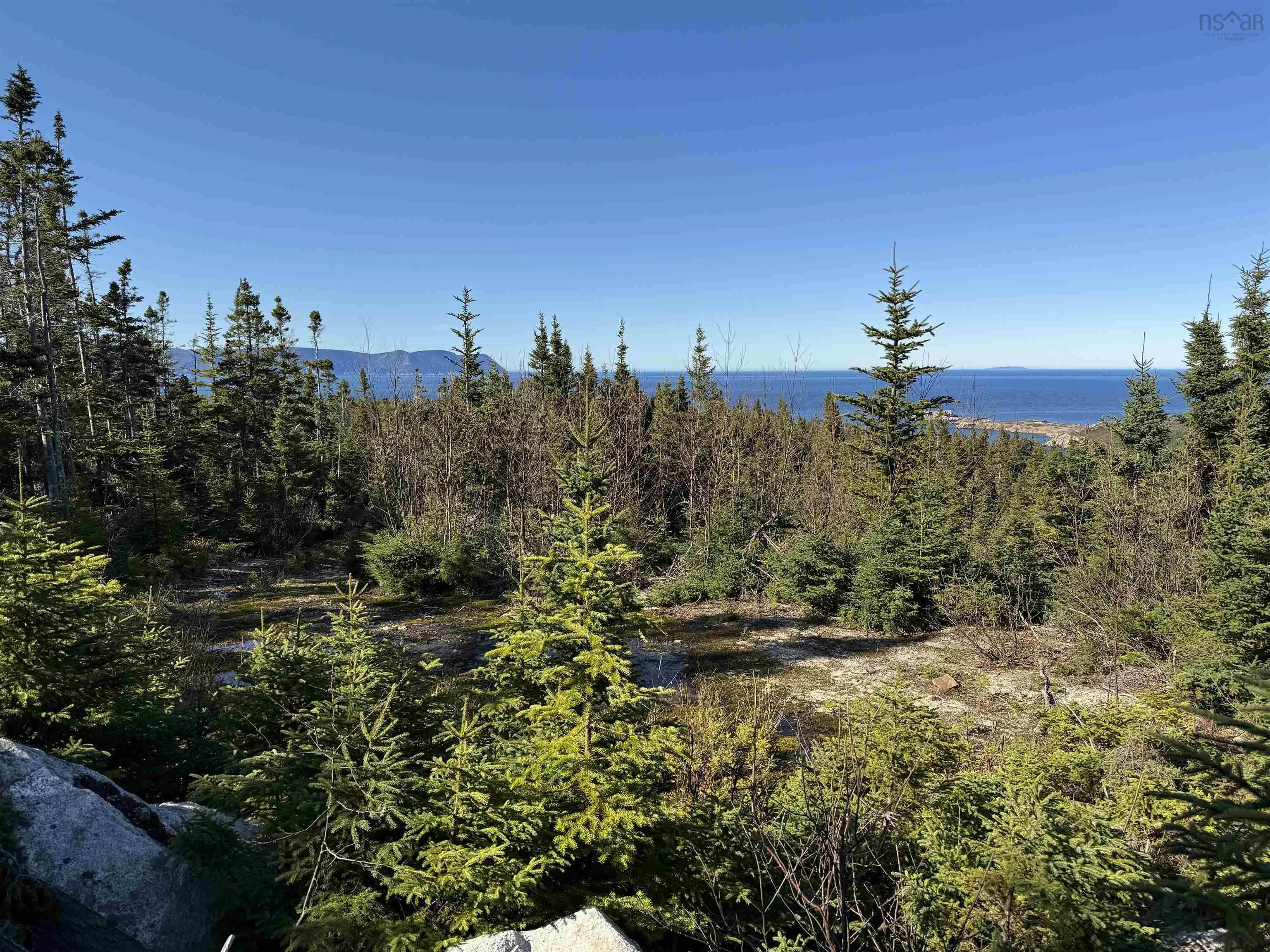 10-1 White Point Road, Smelt Brook Ns B0c 1n0, ,Land,For Sale,White Point,202505583