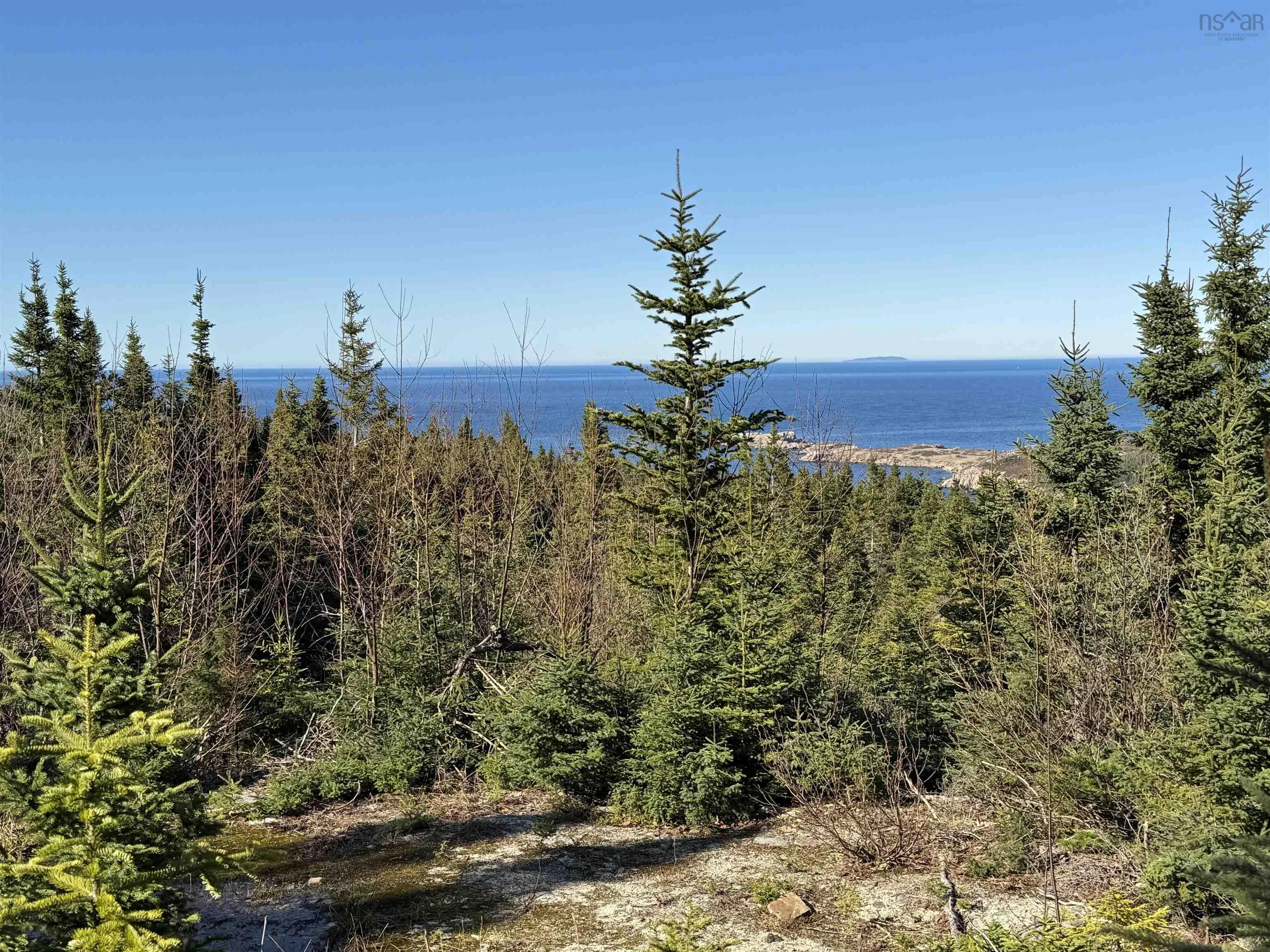10-1 White Point Road, Smelt Brook Ns B0c 1n0, ,Land,For Sale,White Point,202505583