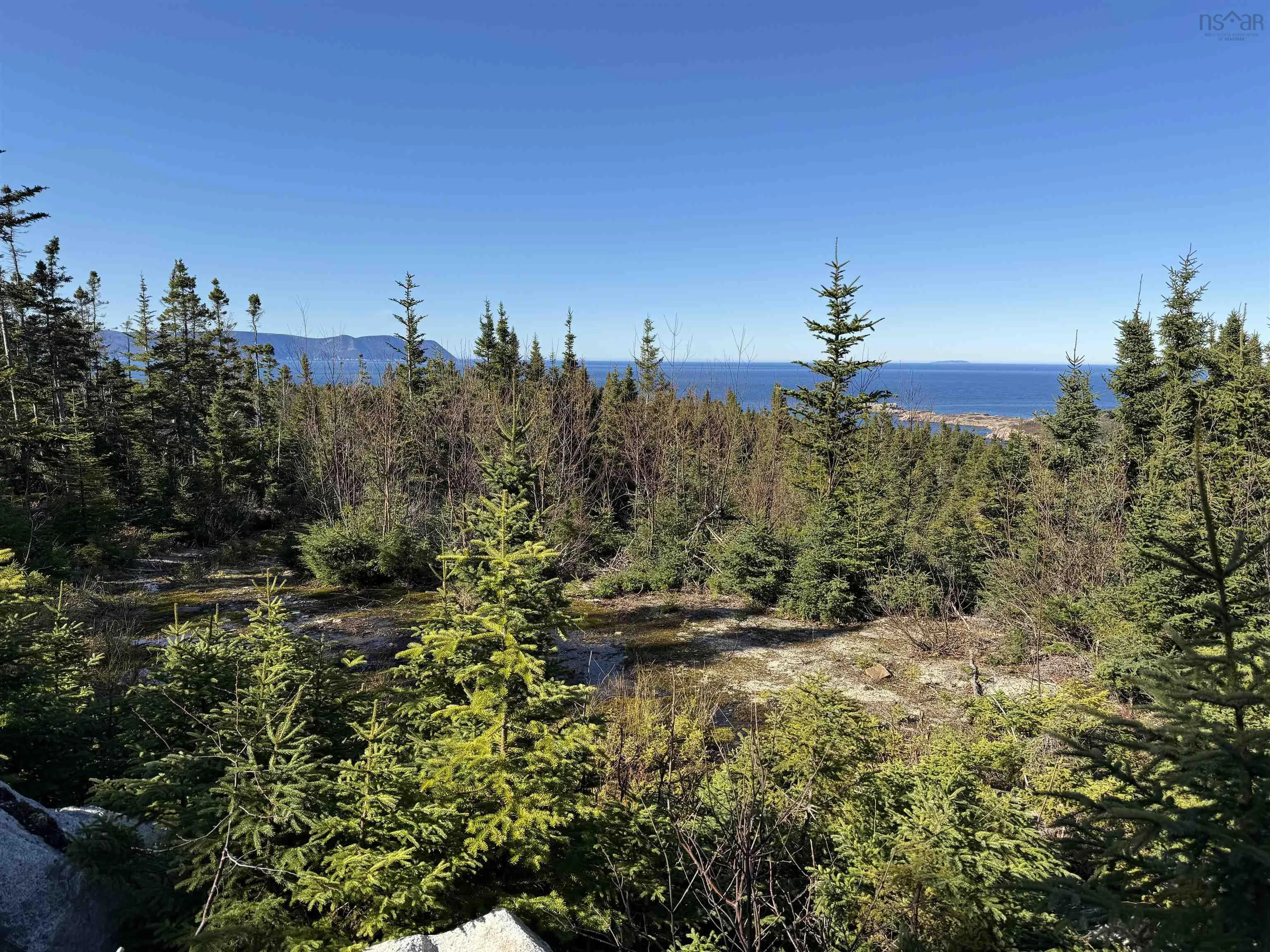 10-1 White Point Road, Smelt Brook Ns B0c 1n0, ,Land,For Sale,White Point,202505583