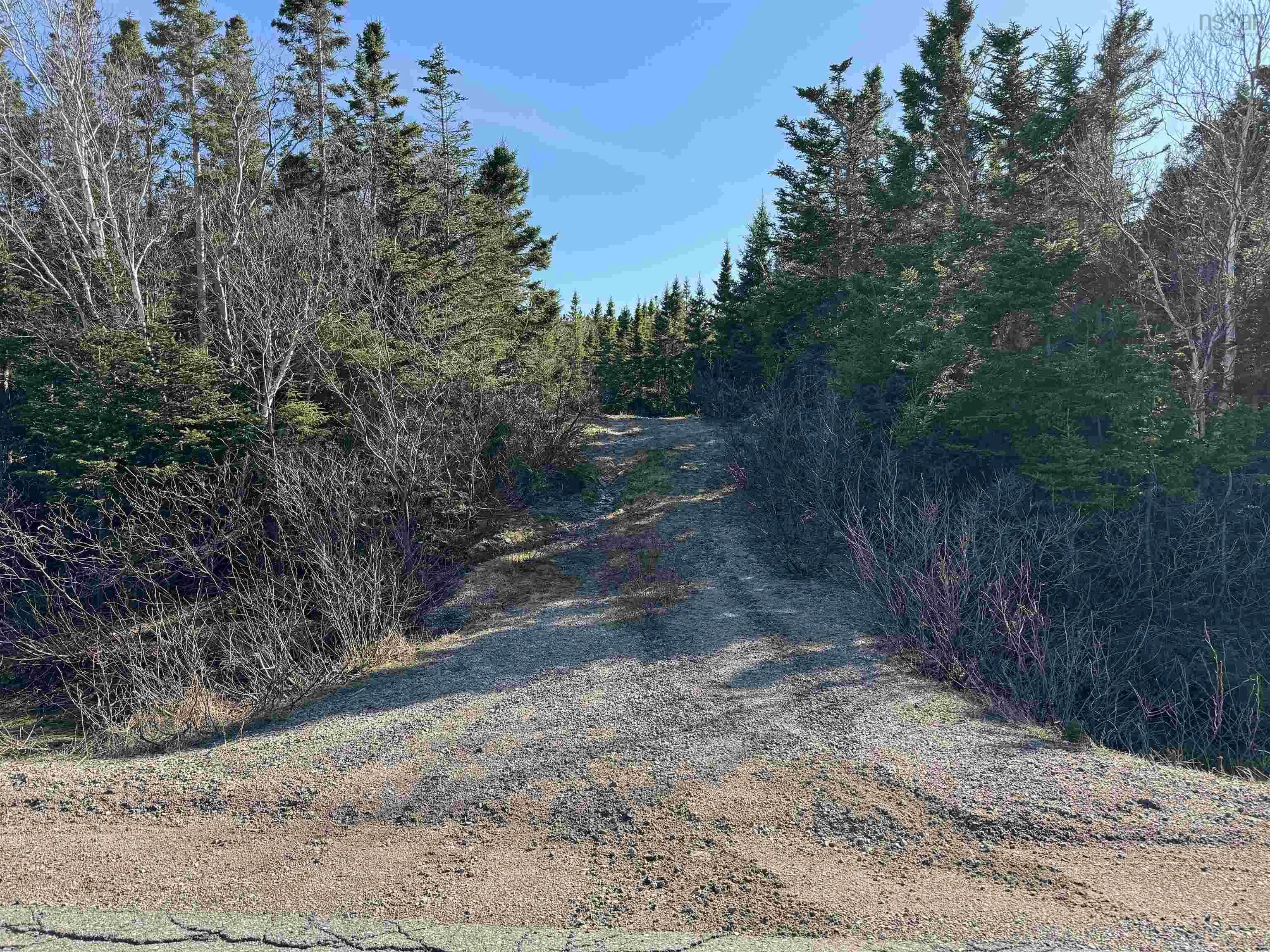 10-1 White Point Road, Smelt Brook Ns B0c 1n0, ,Land,For Sale,White Point,202505583