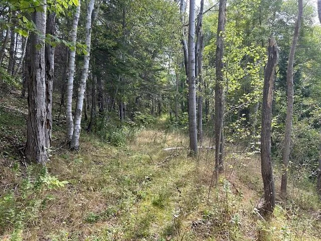 7319 223 Highway, Big Beach Ns B1t 1m2, 3 Bedrooms Bedrooms, ,1 BathroomBathrooms,Residential,For Sale,223,202510588