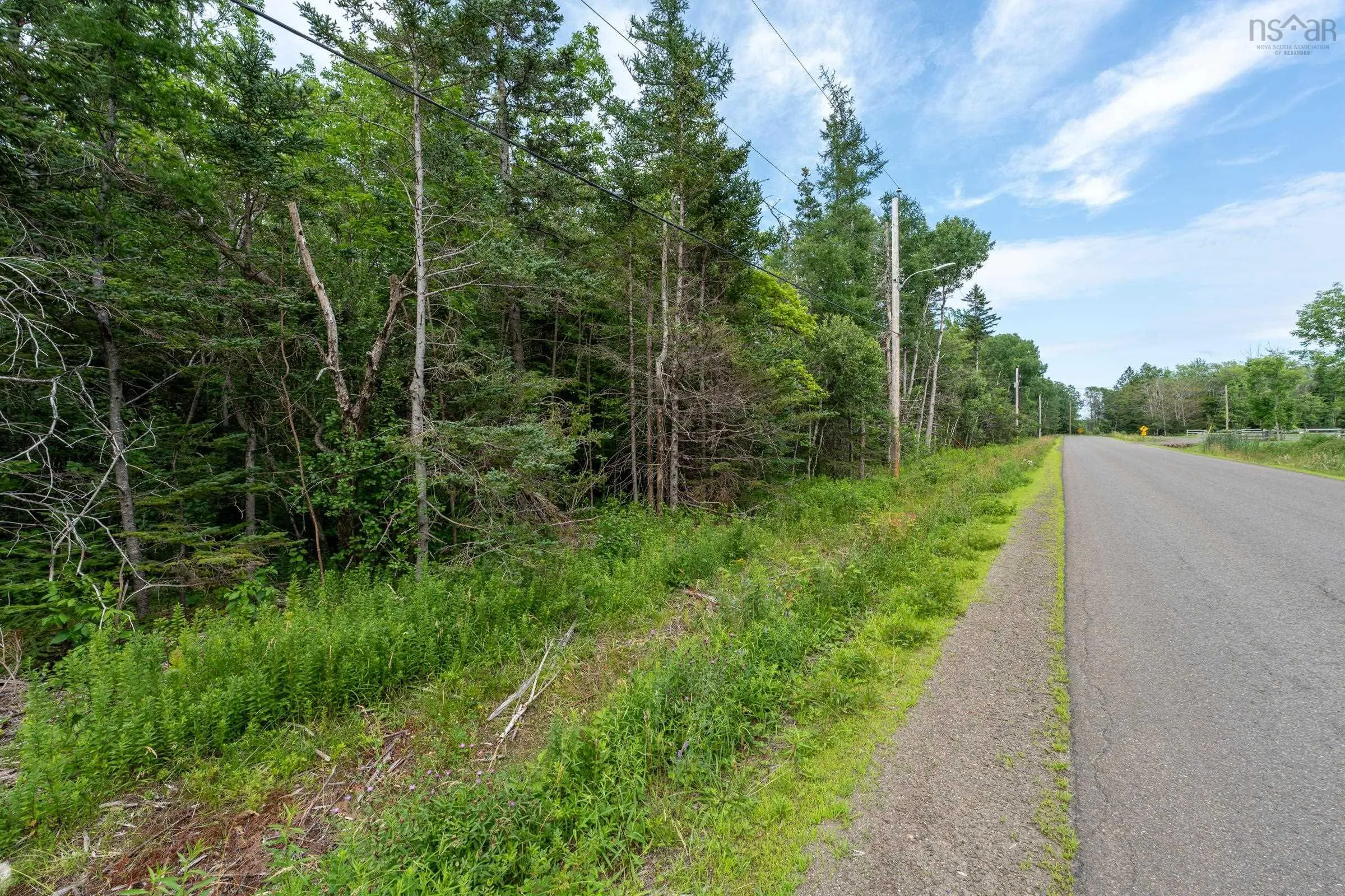 Back Road Lot 3, Lansdowne Ns B0v 1a0, ,Land,For Sale,Back,202502158