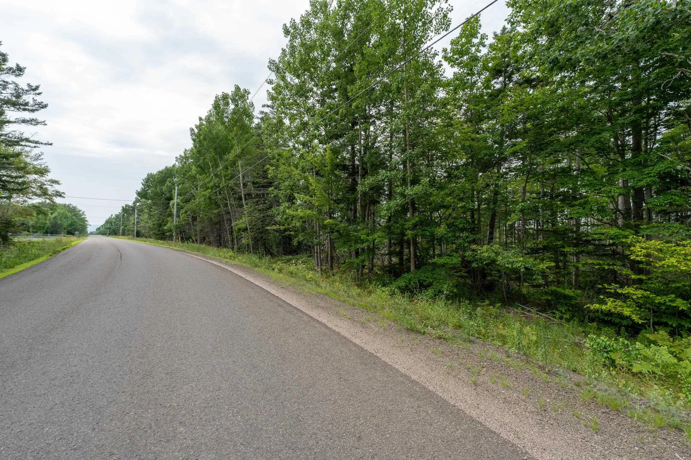 Back Road Lot 3, Lansdowne Ns B0v 1a0, ,Land,For Sale,Back,202502158