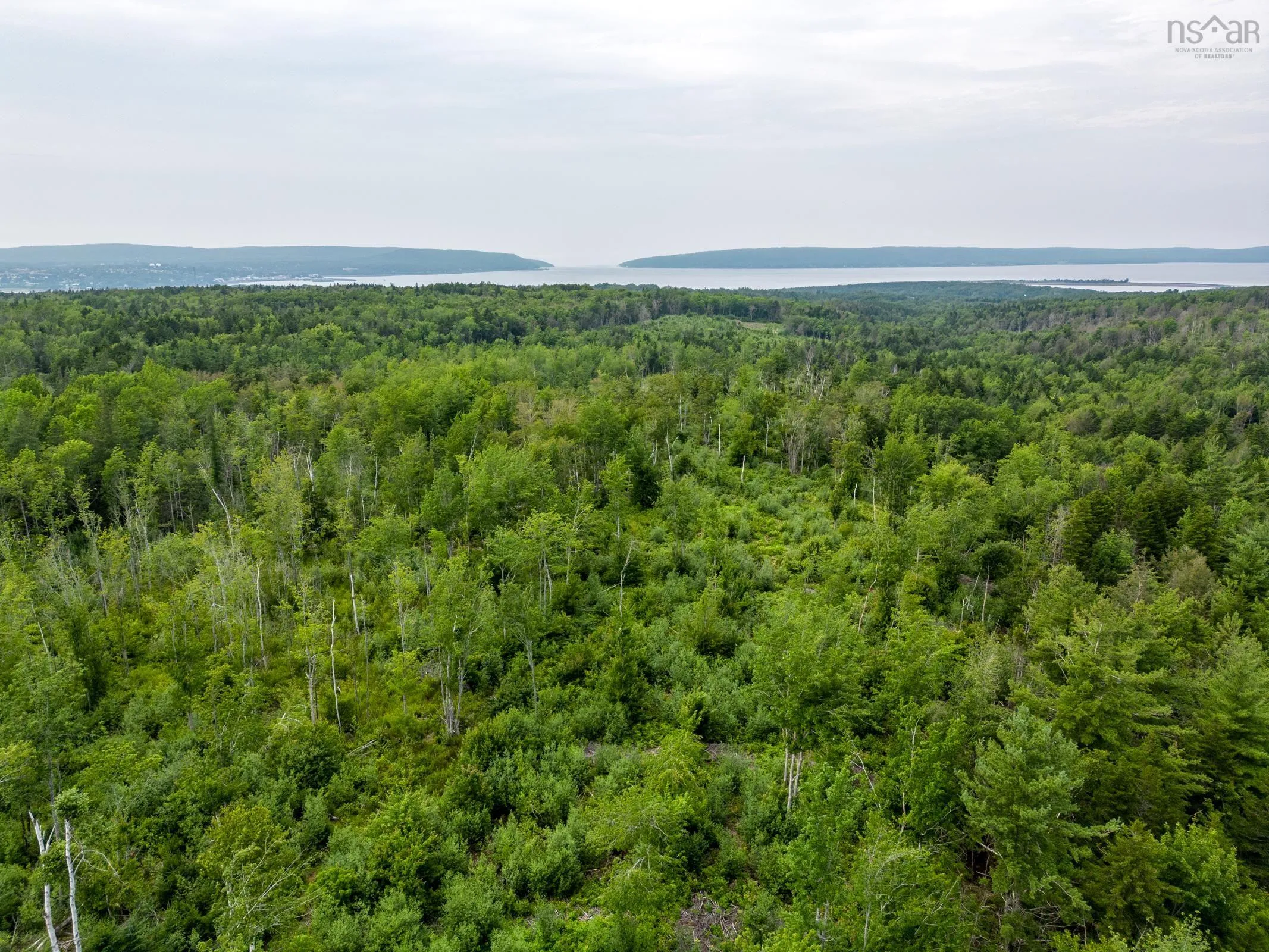 Back Road Lot 3, Lansdowne Ns B0v 1a0, ,Land,For Sale,Back,202502158