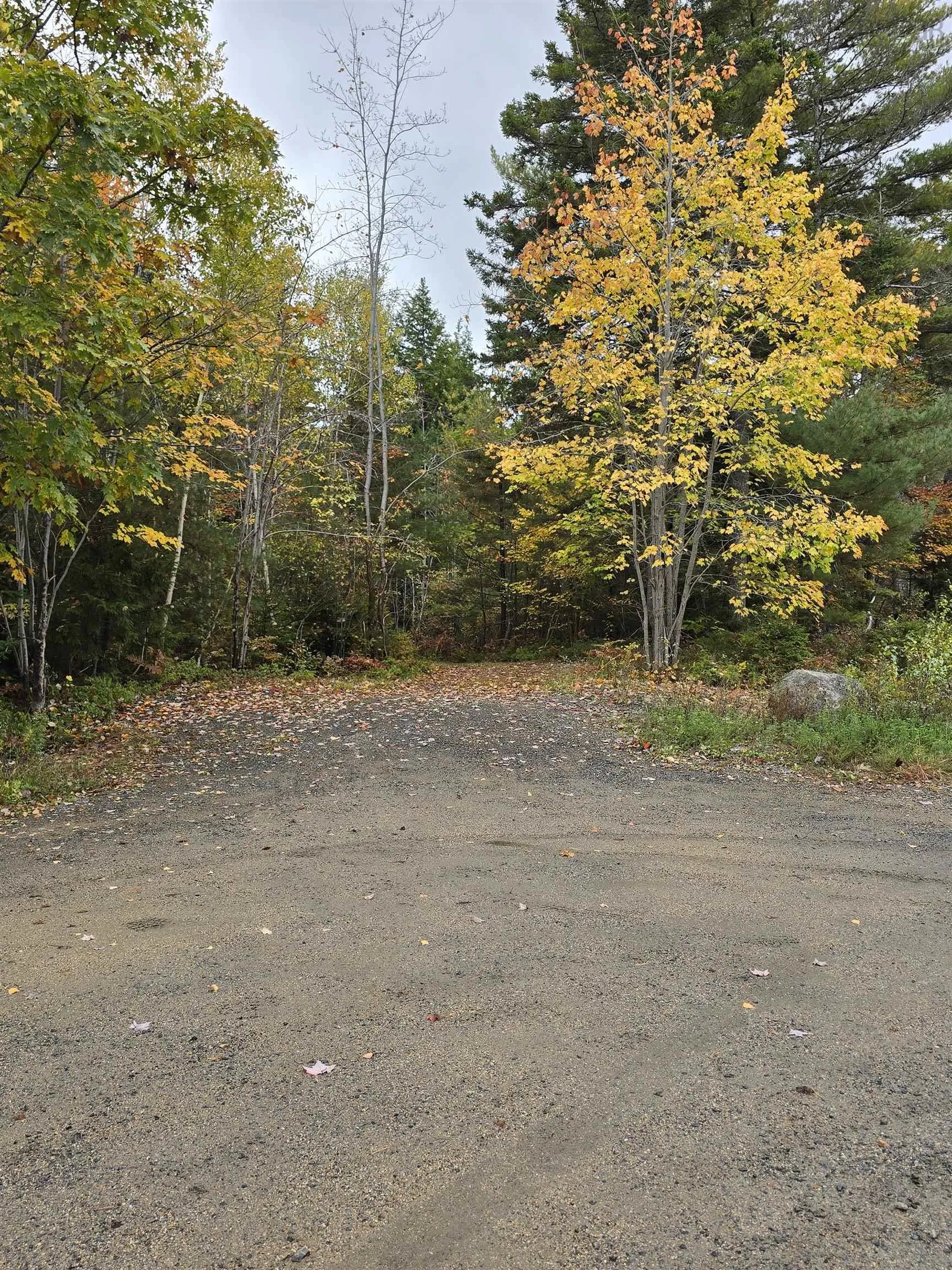Riverview Drive, Bridgewater Ns B4v 3a1, ,Land,For Sale,Riverview,202424417