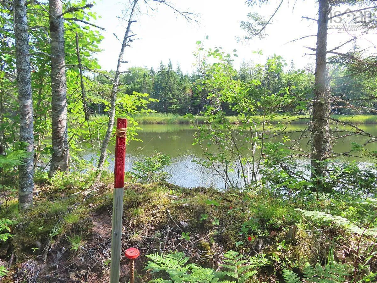 Lower River Road, Grantville Ns B0e 1j0, ,Land,For Sale,Lower River,202403617