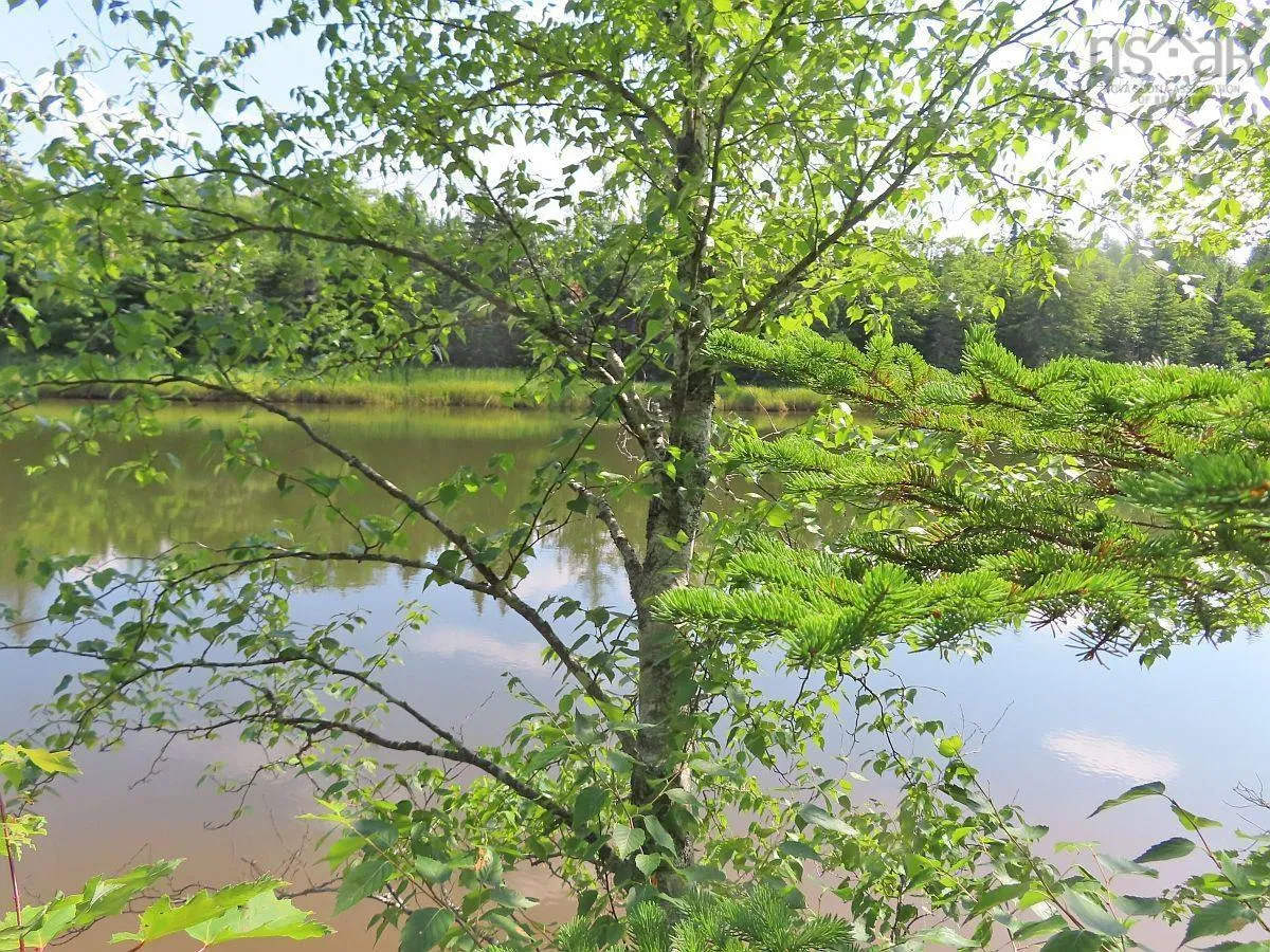Lower River Road, Grantville Ns B0e 1j0, ,Land,For Sale,Lower River,202403617