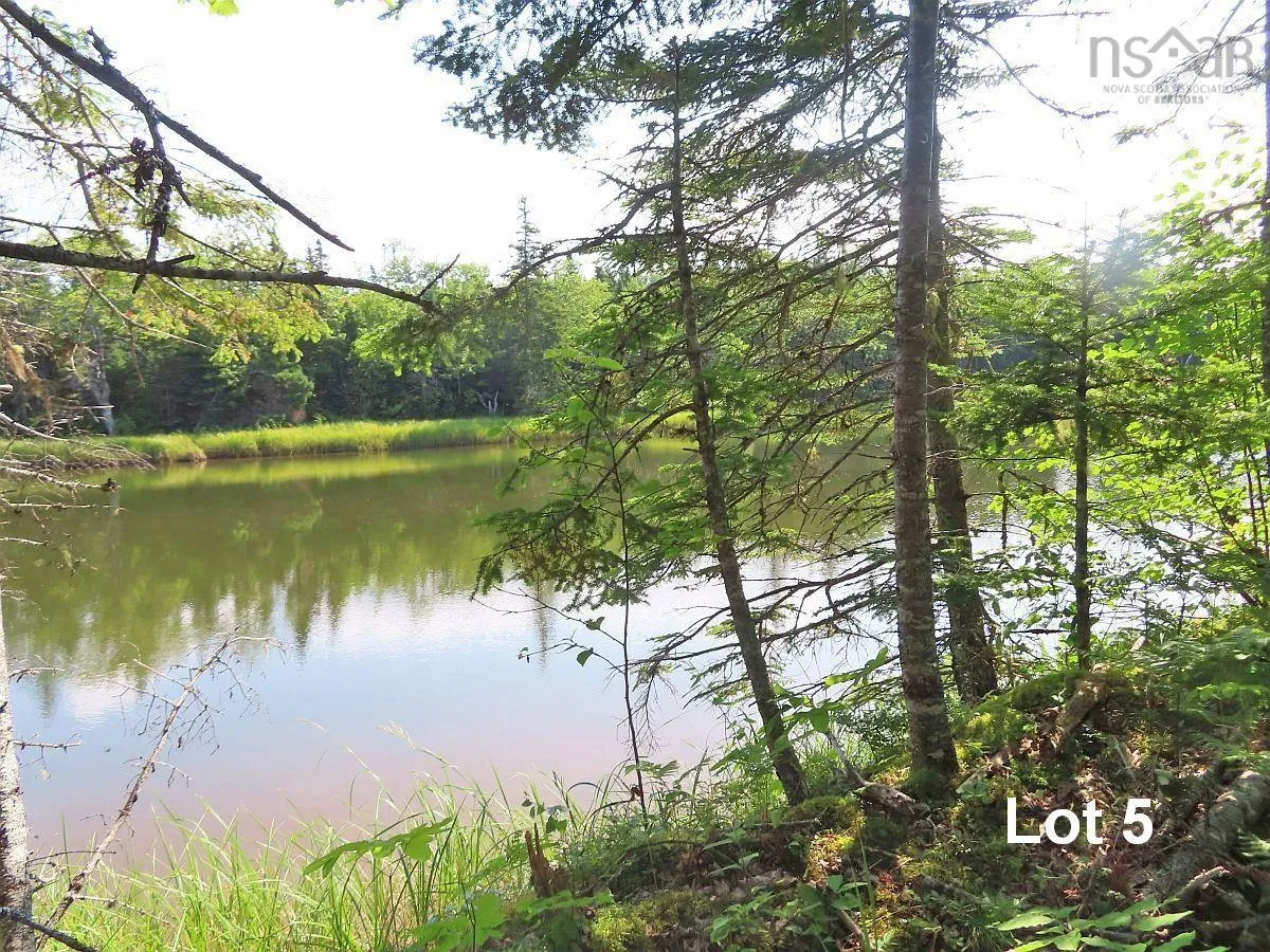 Lower River Road, Grantville Ns B0e 1j0, ,Land,For Sale,Lower River,202403617