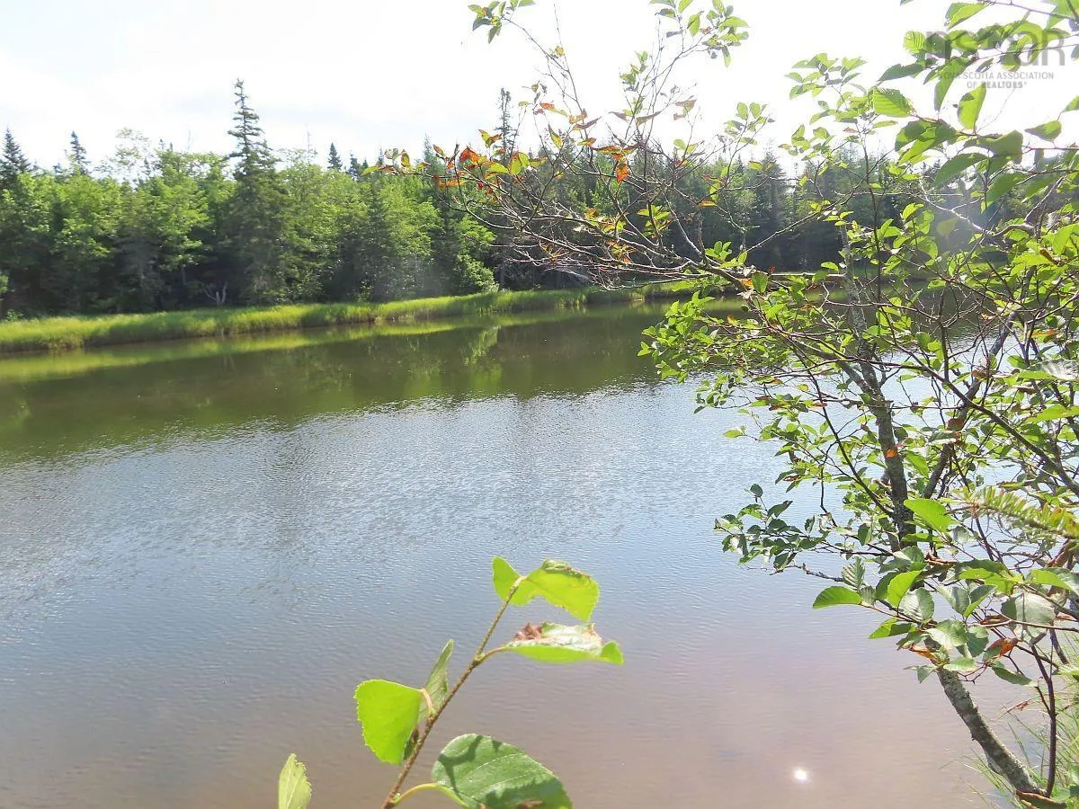 Lower River Road, Grantville Ns B0e 1j0, ,Land,For Sale,Lower River,202403617