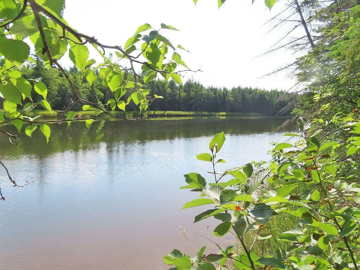 Lower River Road, Grantville Ns B0e 1j0, ,Land,For Sale,Lower River,202403617