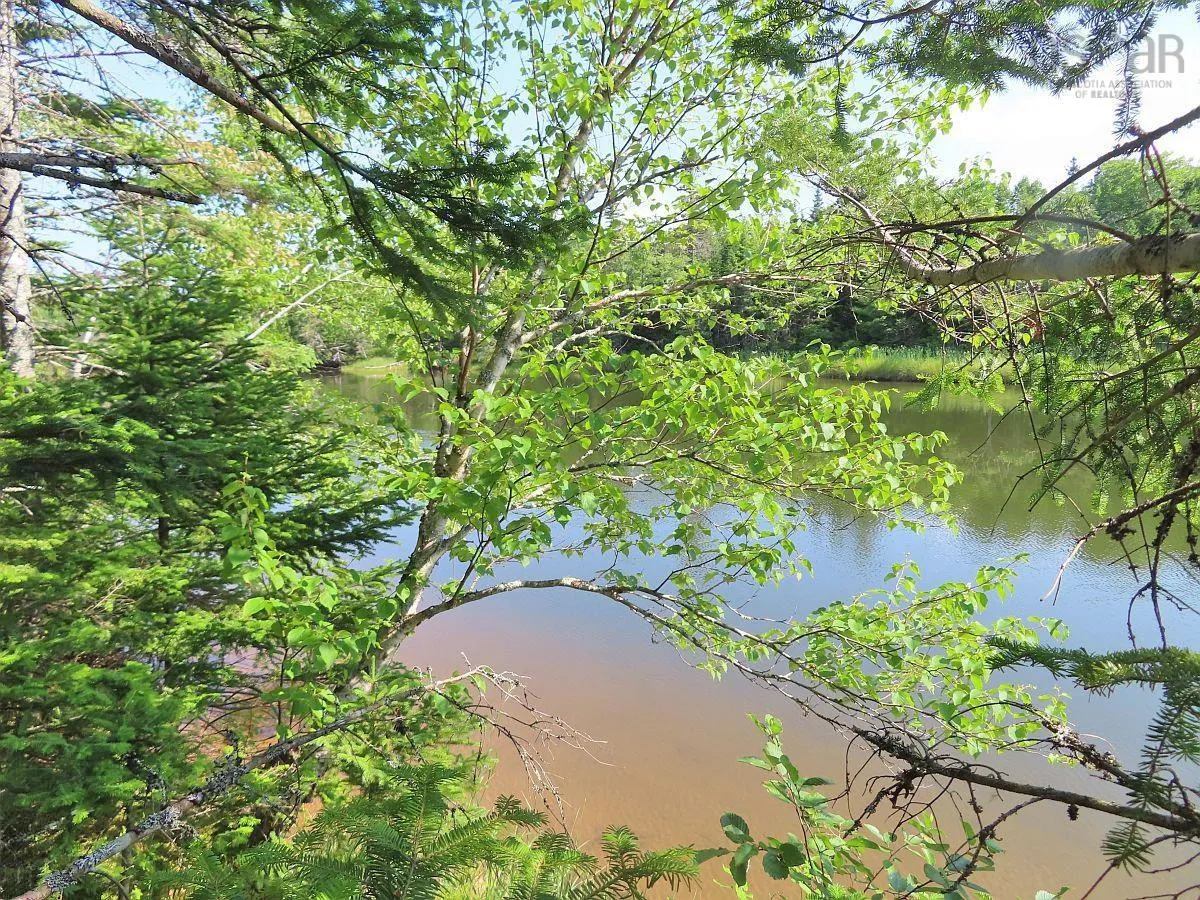 Lower River Road, Grantville Ns B0e 1j0, ,Land,For Sale,Lower River,202403617