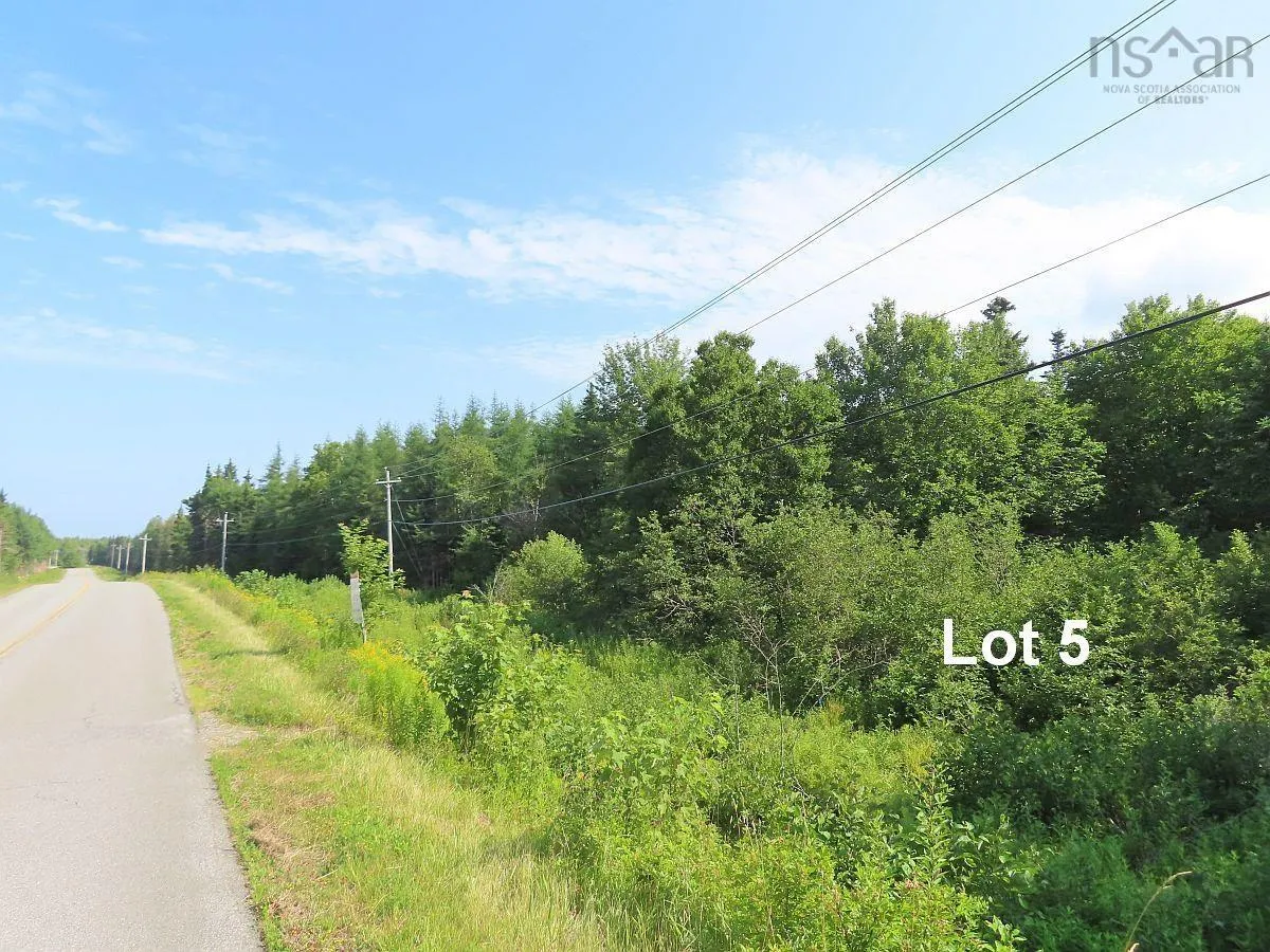 Lower River Road, Grantville Ns B0e 1j0, ,Land,For Sale,Lower River,202403617