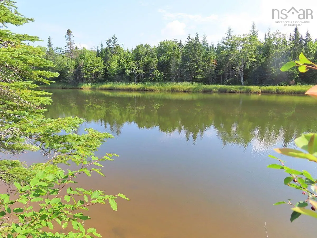 Lower River Road, Grantville Ns B0e 1j0, ,Land,For Sale,Lower River,202403617