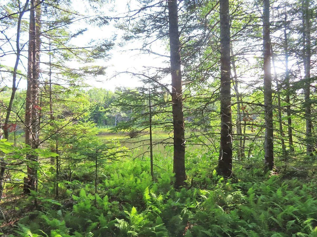 Lower River Road, Grantville Ns B0e 1j0, ,Land,For Sale,Lower River,202403617