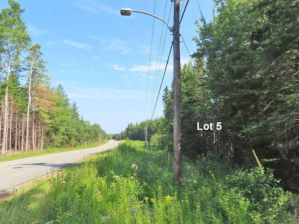 Lower River Road, Grantville Ns B0e 1j0, ,Land,For Sale,Lower River,202403617