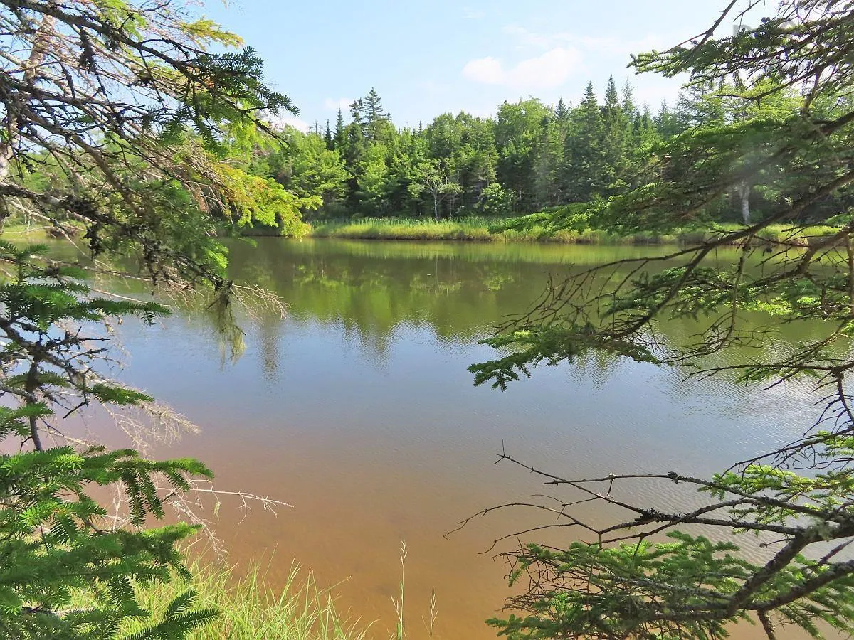 Lower River Road, Grantville Ns B0e 1j0, ,Land,For Sale,Lower River,202403617