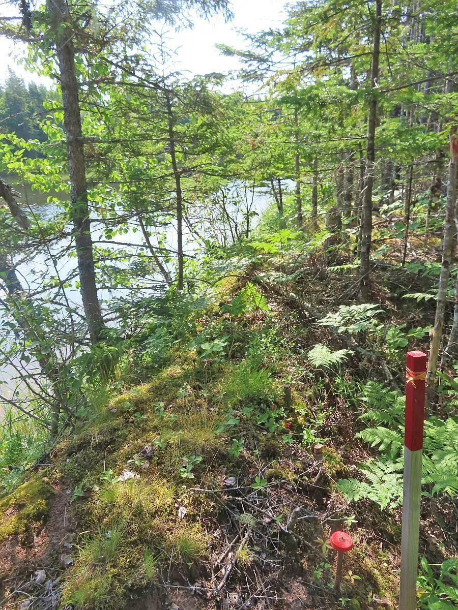 Lower River Road, Grantville Ns B0e 1j0, ,Land,For Sale,Lower River,202403617