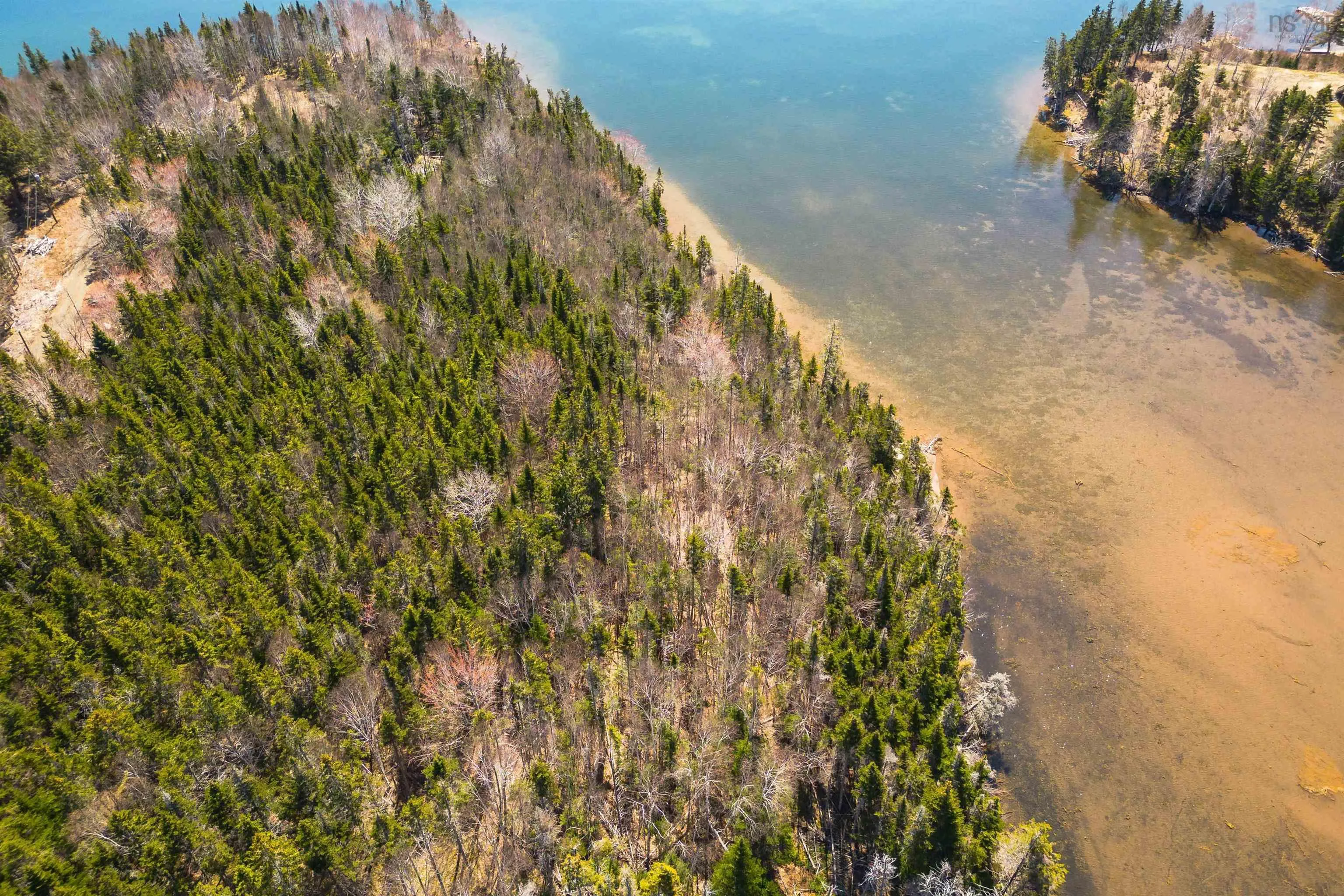 Lot 1b Marble Mountain Road, Malagawatch, NS B0E 2Y0, ,Land,For Sale,Marble Mountain,202511123