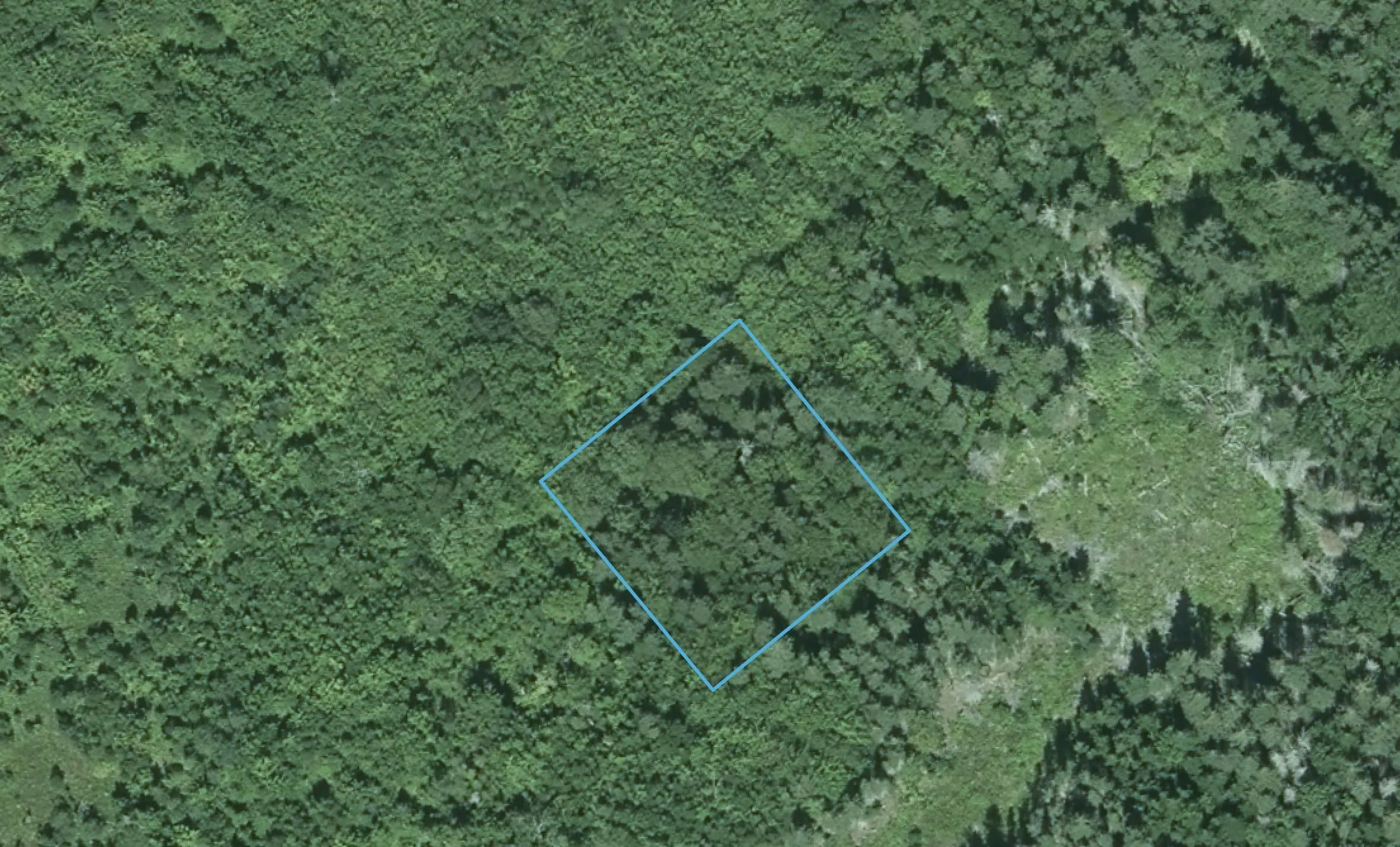 David Street, Port Hastings Ns B0e 1p0, ,Land,For Sale,David,202425589