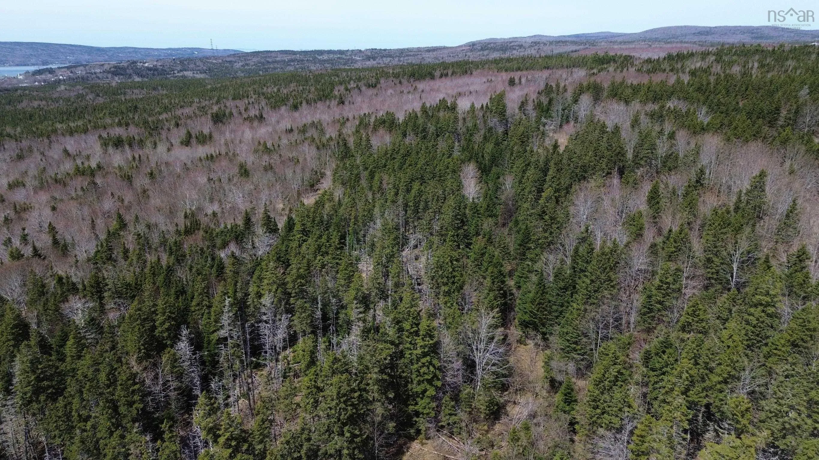 David Street, Port Hastings Ns B0e 1p0, ,Land,For Sale,David,202425589
