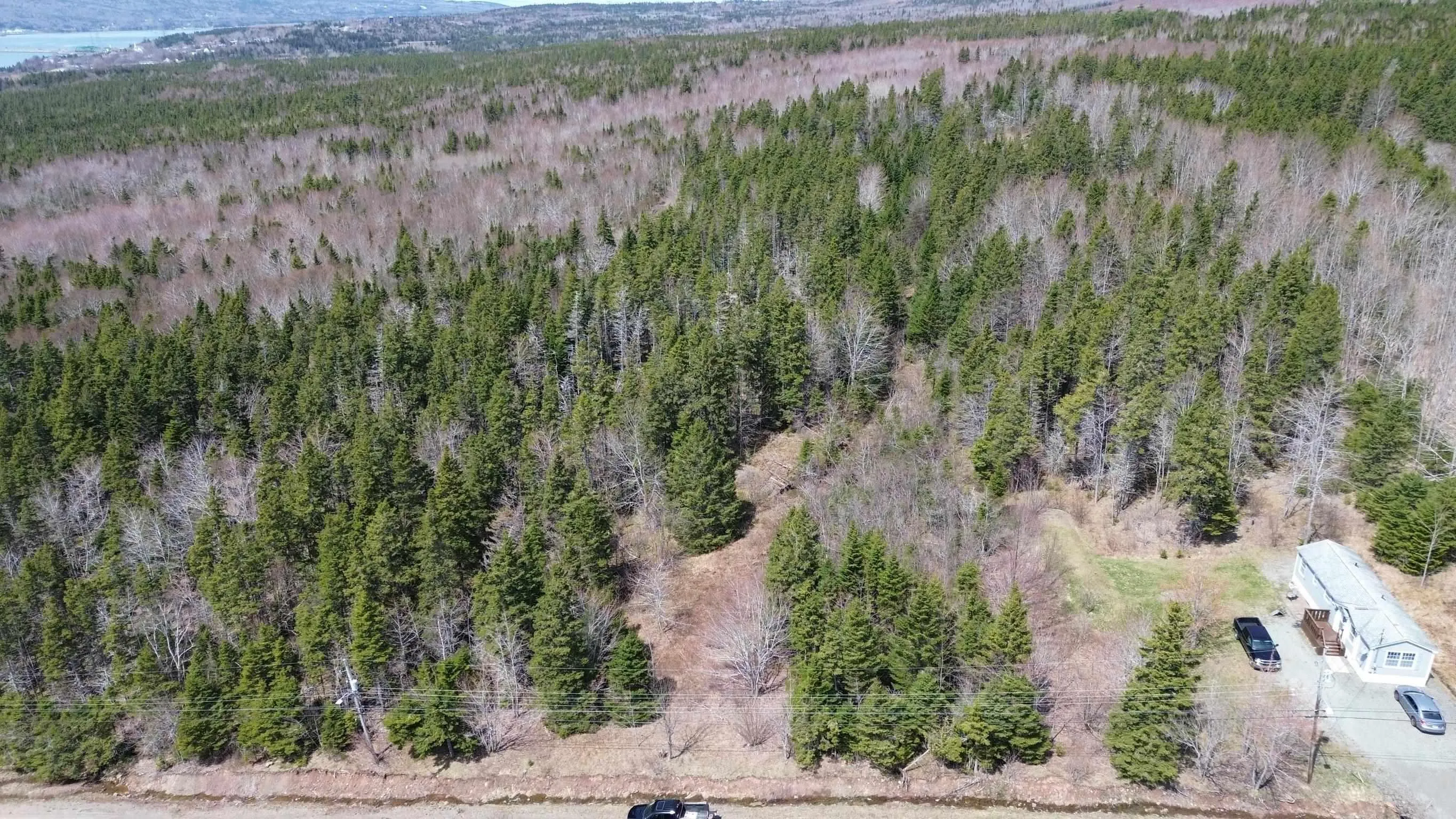David Street, Port Hastings Ns B0e 1p0, ,Land,For Sale,David,202425589