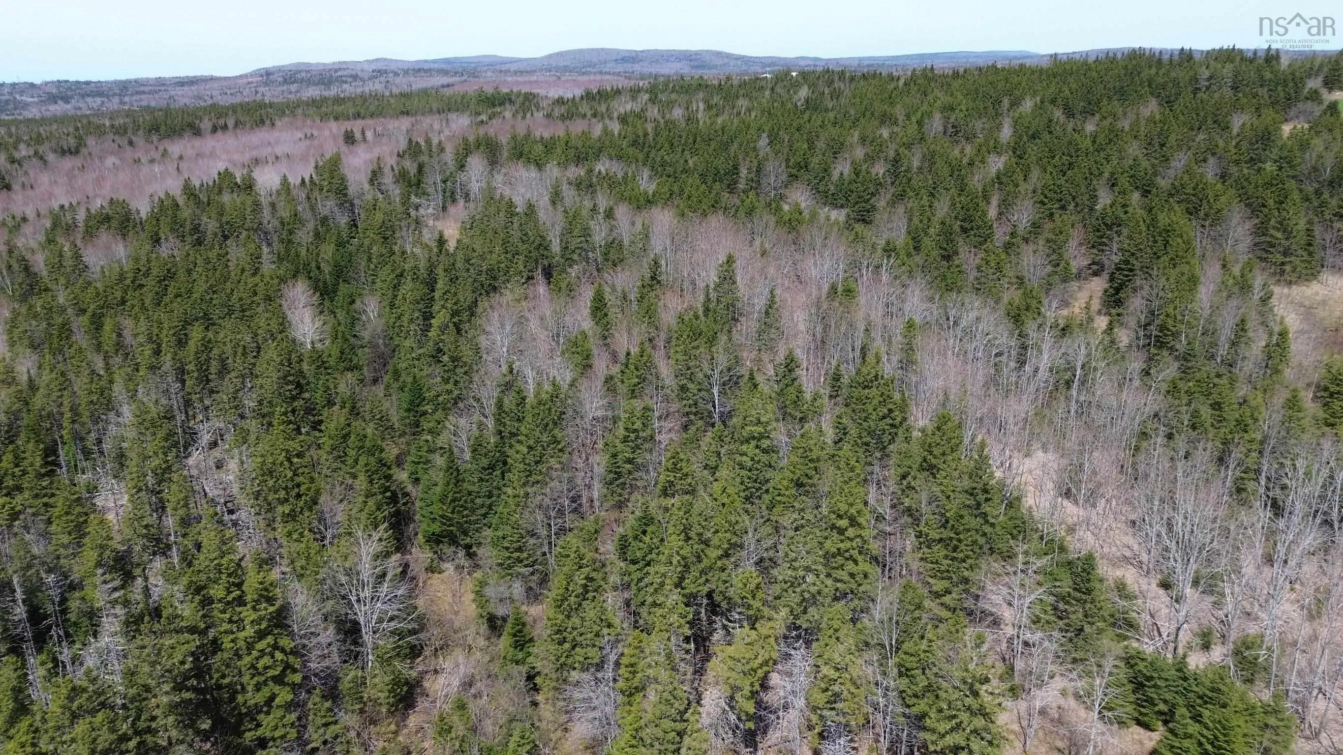 David Street, Port Hastings Ns B0e 1p0, ,Land,For Sale,David,202425589