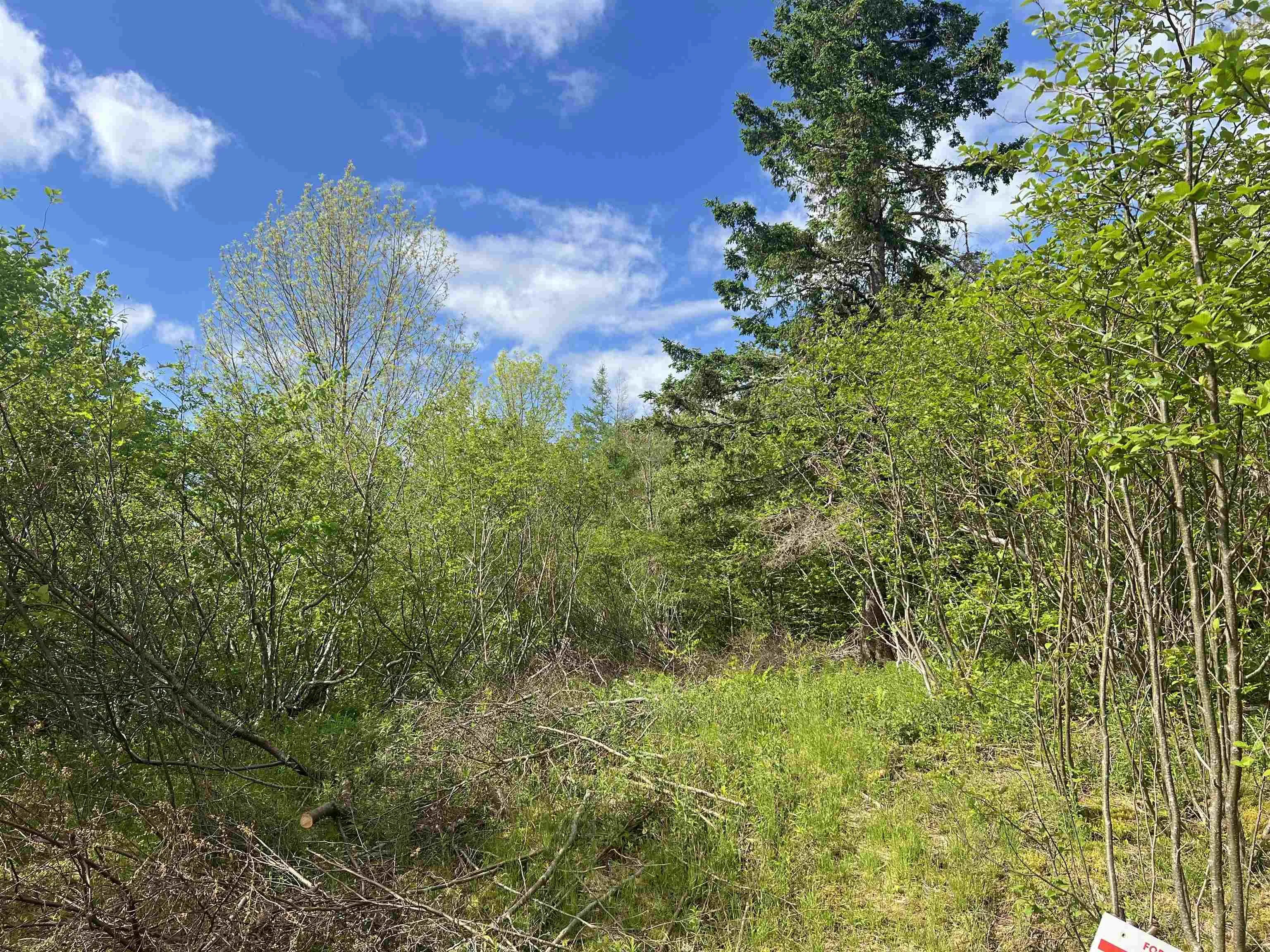18 Jorphie Drive, East Uniacke Ns B0n 1x0, ,Land,For Sale,Jorphie,202500295