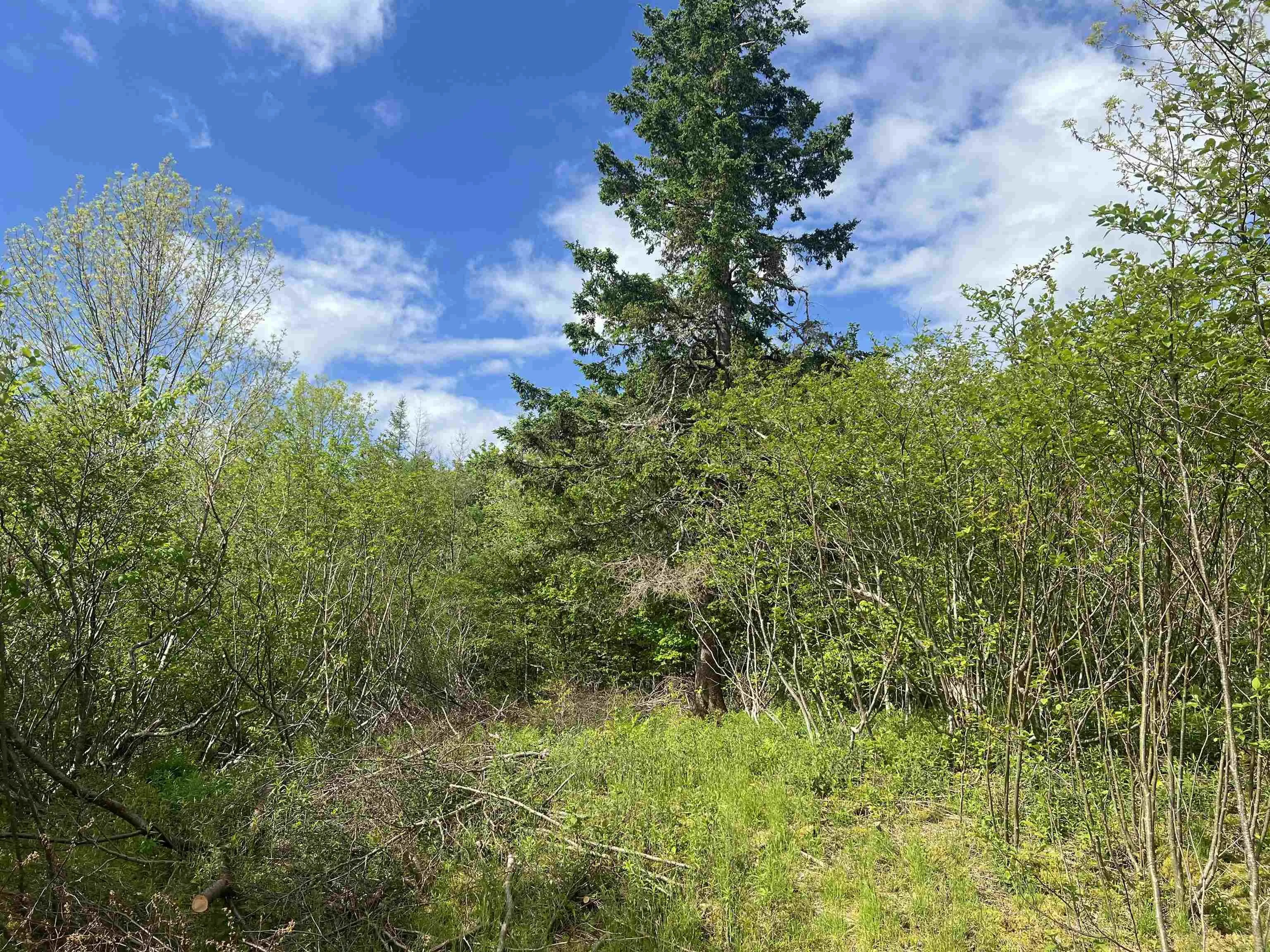 18 Jorphie Drive, East Uniacke Ns B0n 1x0, ,Land,For Sale,Jorphie,202500295