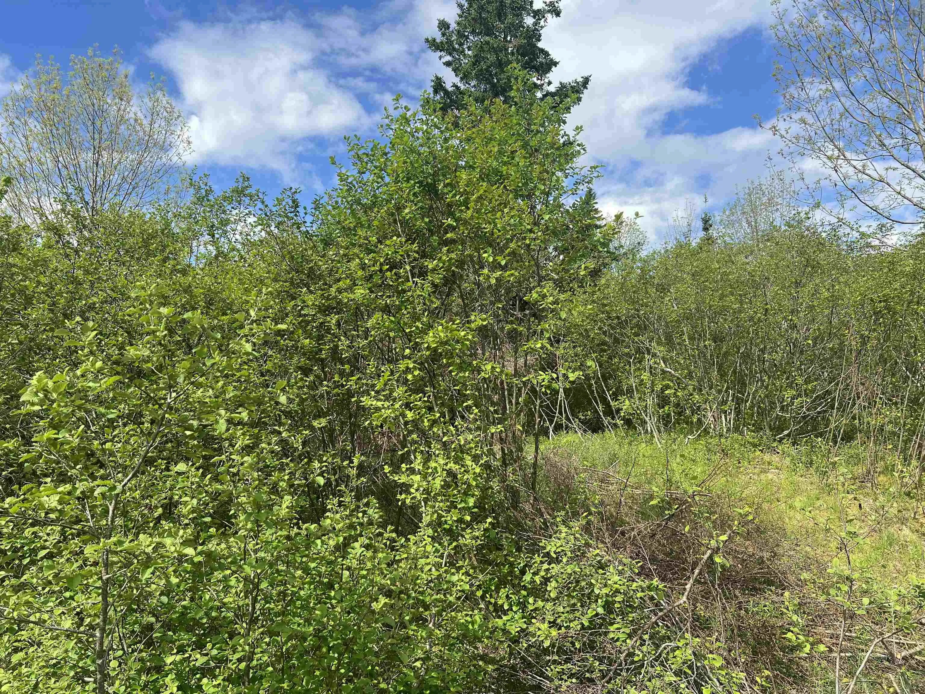 18 Jorphie Drive, East Uniacke Ns B0n 1x0, ,Land,For Sale,Jorphie,202500295