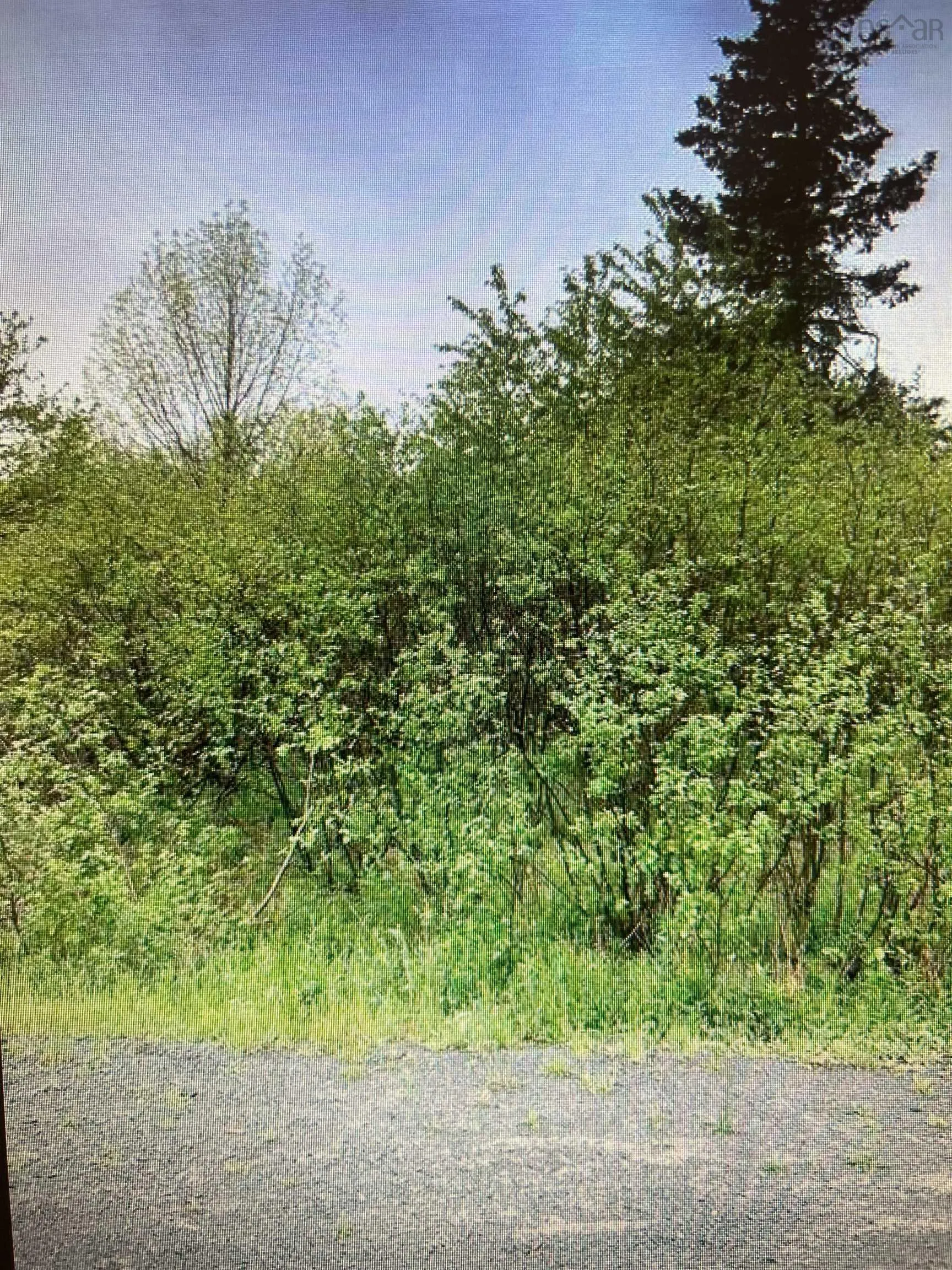 18 Jorphie Drive, East Uniacke Ns B0n 1x0, ,Land,For Sale,Jorphie,202500295