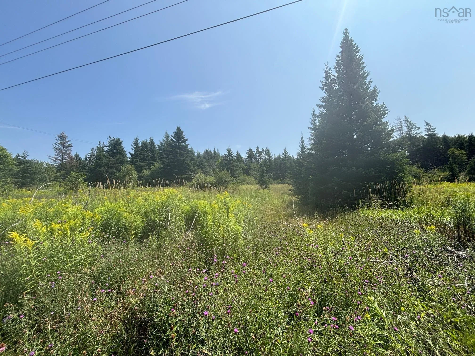 128 New River Road, Kemptown, NS B6L 2K9, ,Land,For Sale,New River,202518627