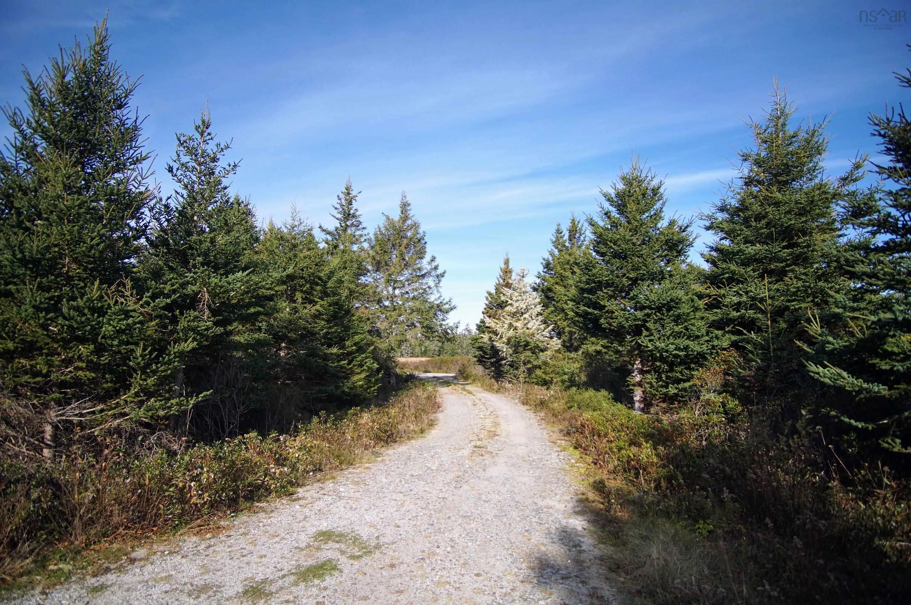 220 Seaside Drive Drive, Louis Head, NS B0T 1V0, 3 Bedrooms Bedrooms, ,2 BathroomsBathrooms,Residential,For Sale,Seaside Drive,202424024