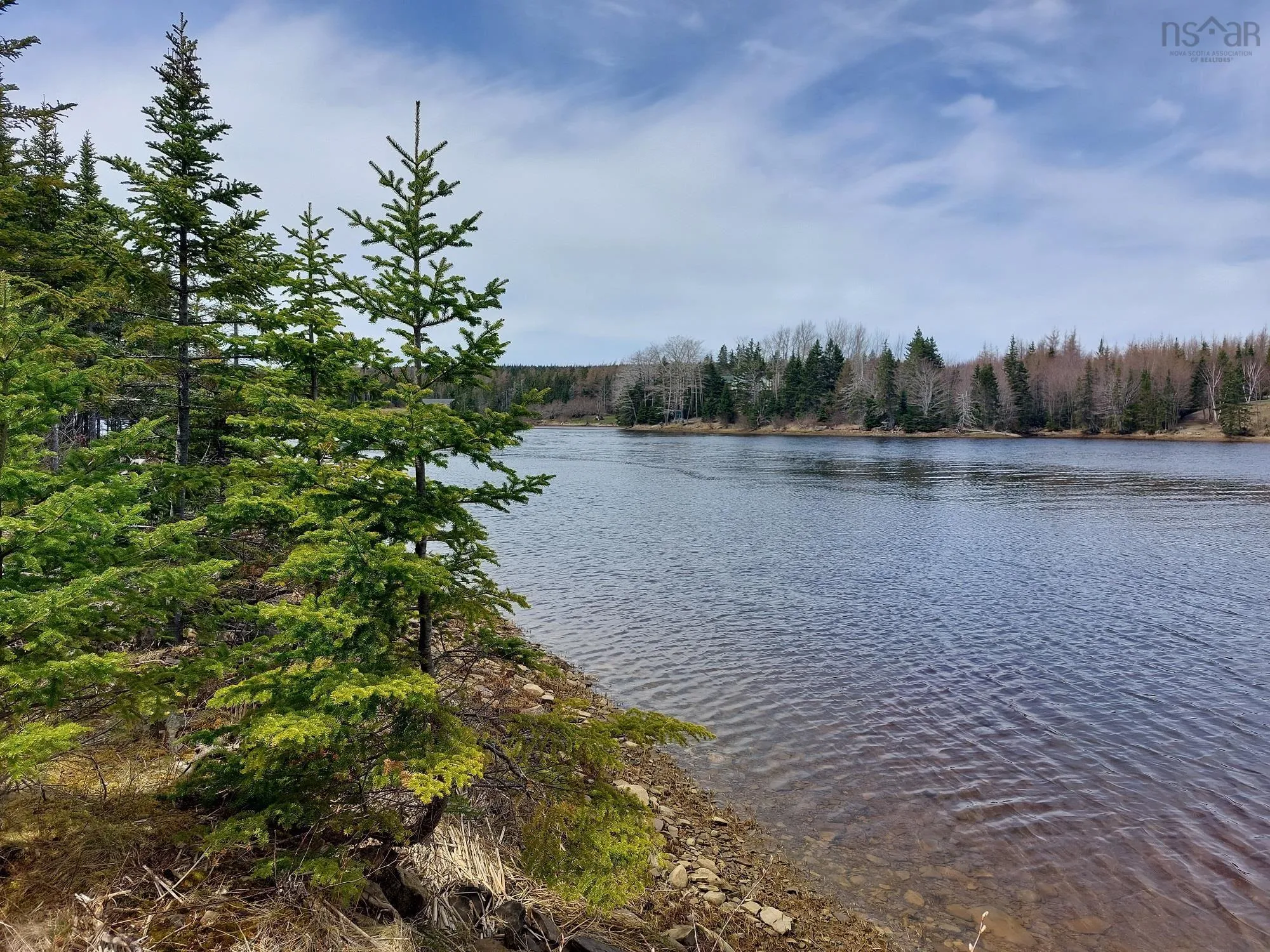 Lot 14 Jonathan R Bouman Lane, Evanston Ns B0e 1j0, ,Land,For Sale,Jonathan R Bouman Lane,202506856