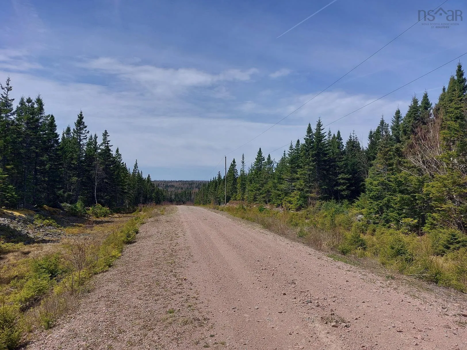 Lot 14 Jonathan R Bouman Lane, Evanston Ns B0e 1j0, ,Land,For Sale,Jonathan R Bouman Lane,202506856