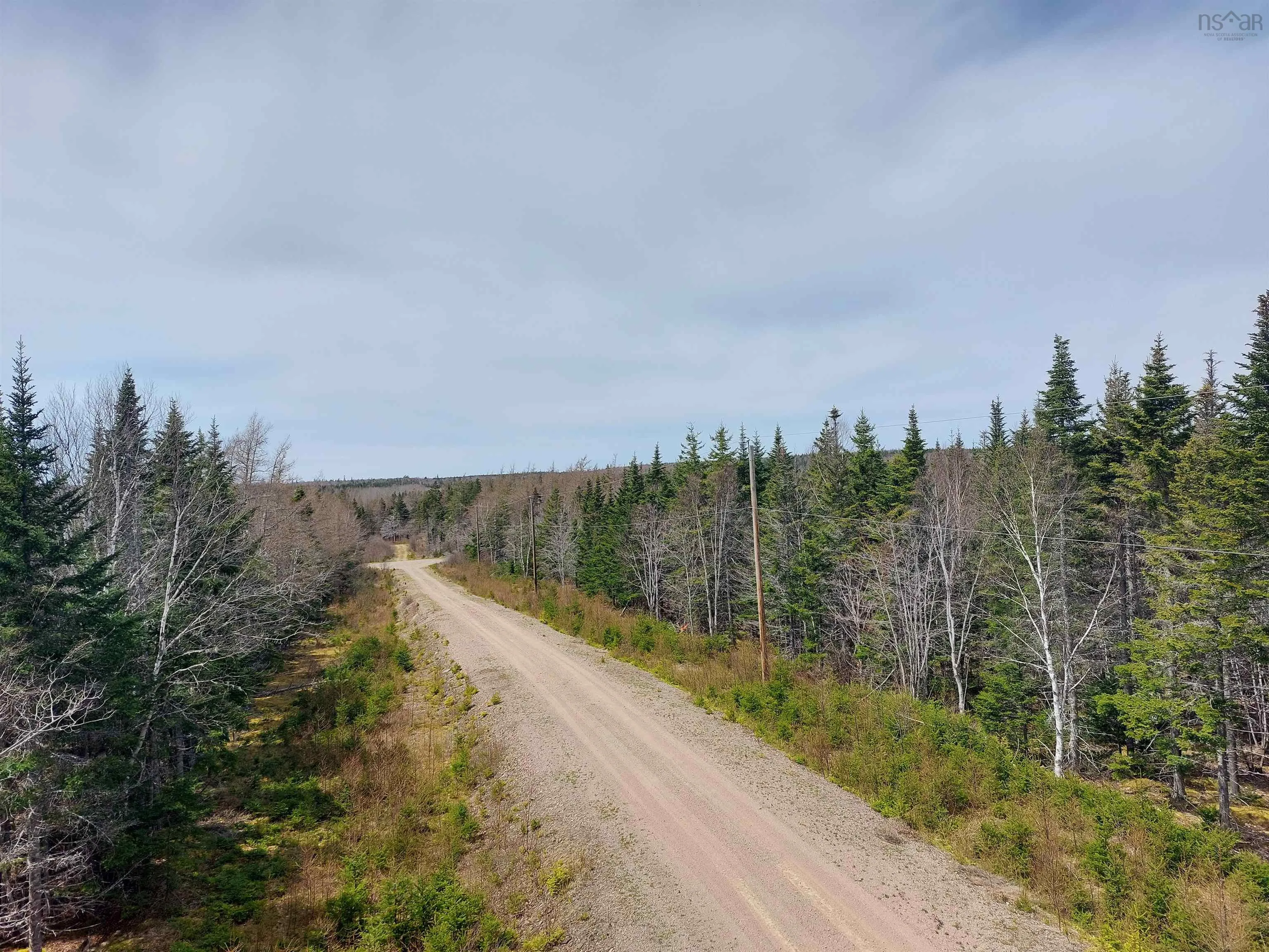 Lot 14 Jonathan R Bouman Lane, Evanston Ns B0e 1j0, ,Land,For Sale,Jonathan R Bouman Lane,202506856