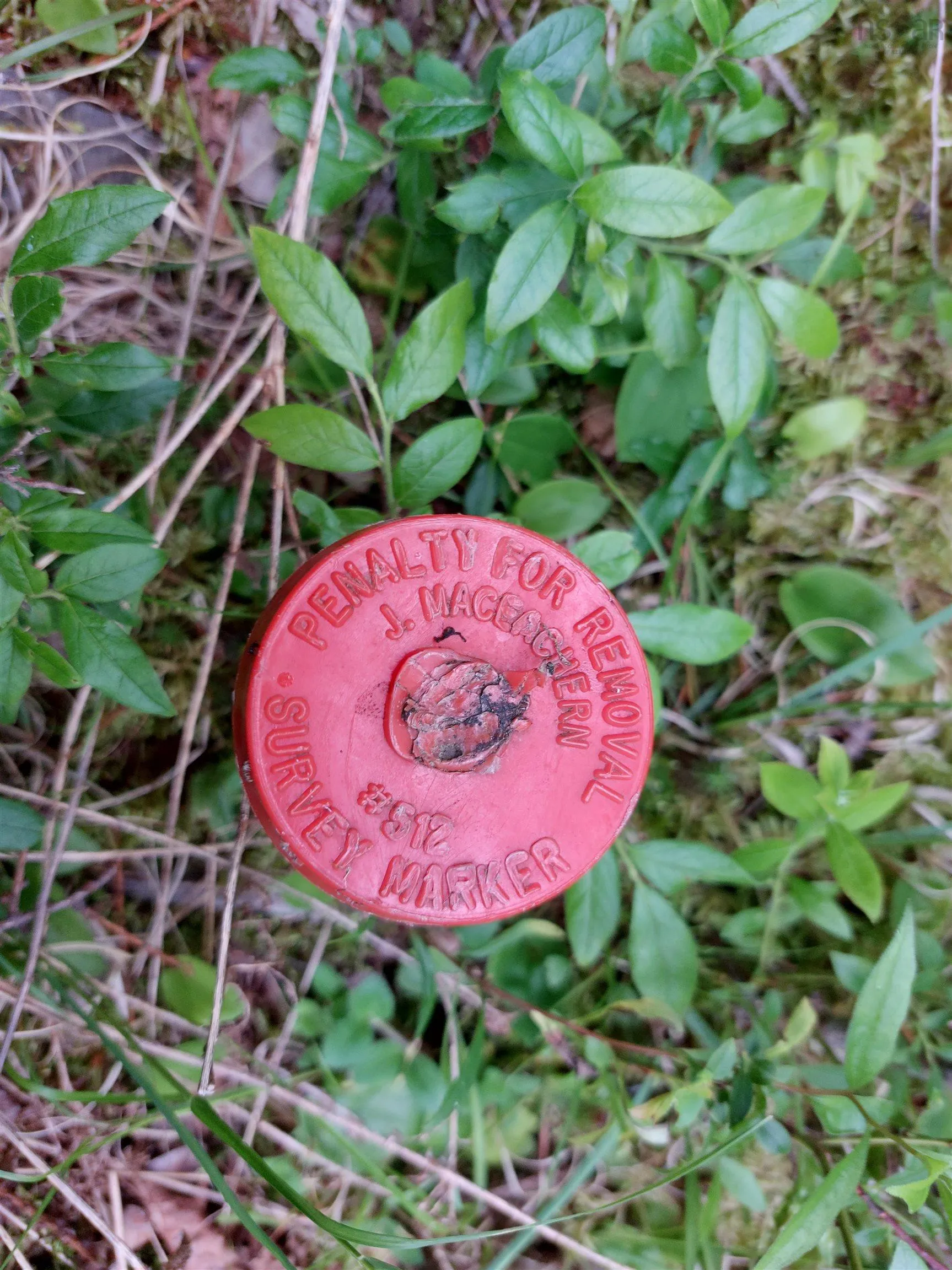 Lot 14 Jonathan R Bouman Lane, Evanston Ns B0e 1j0, ,Land,For Sale,Jonathan R Bouman Lane,202506856