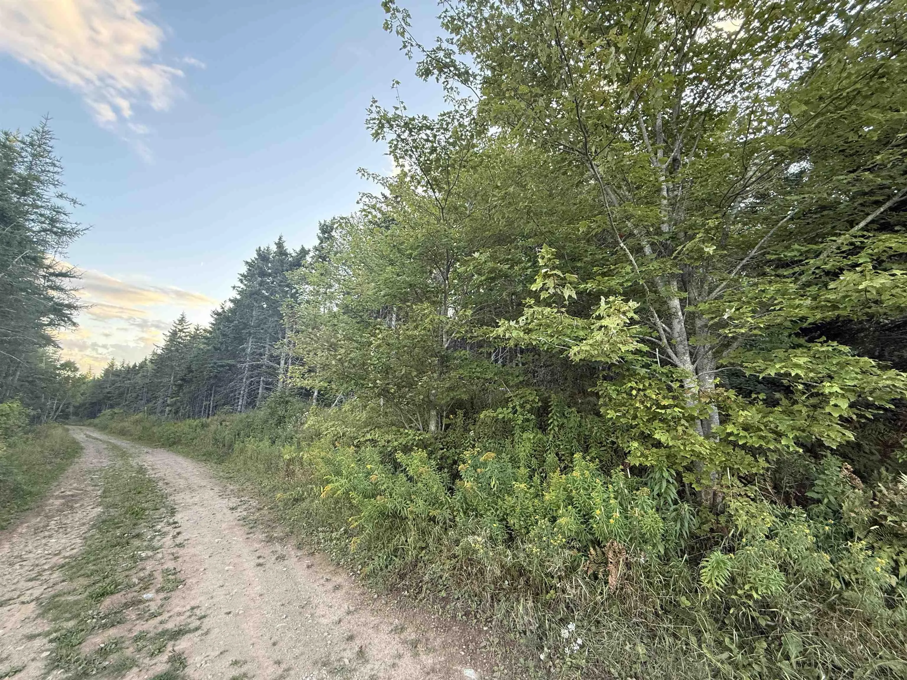 Hillside Road, Southside Boularderie, NS B1Y 2R2, ,Land,For Sale,Hillside Road,202522204