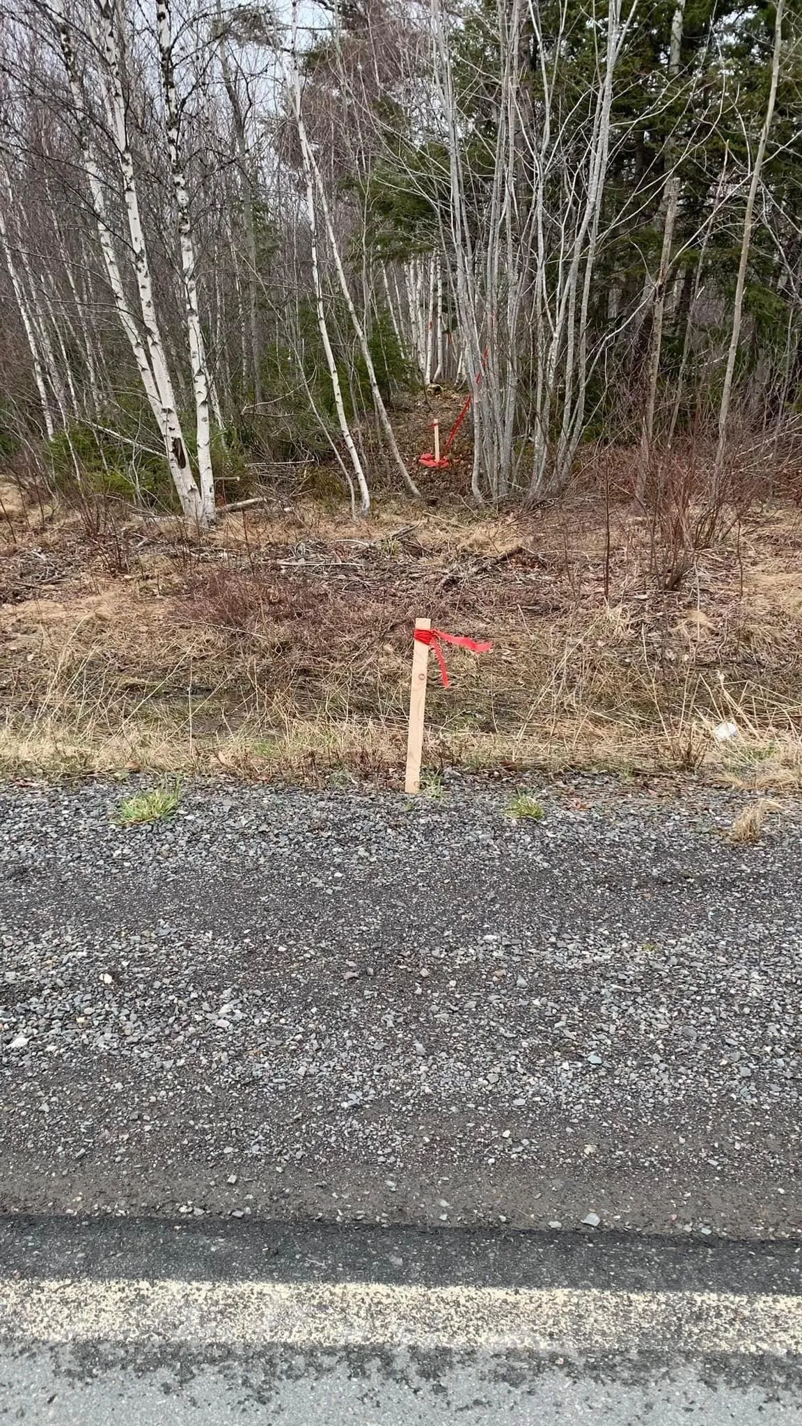 24-4 Little Harbour Road, Frasers Mountain, NS B2H 3T5, ,Land,For Sale,Little Harbour,202518269