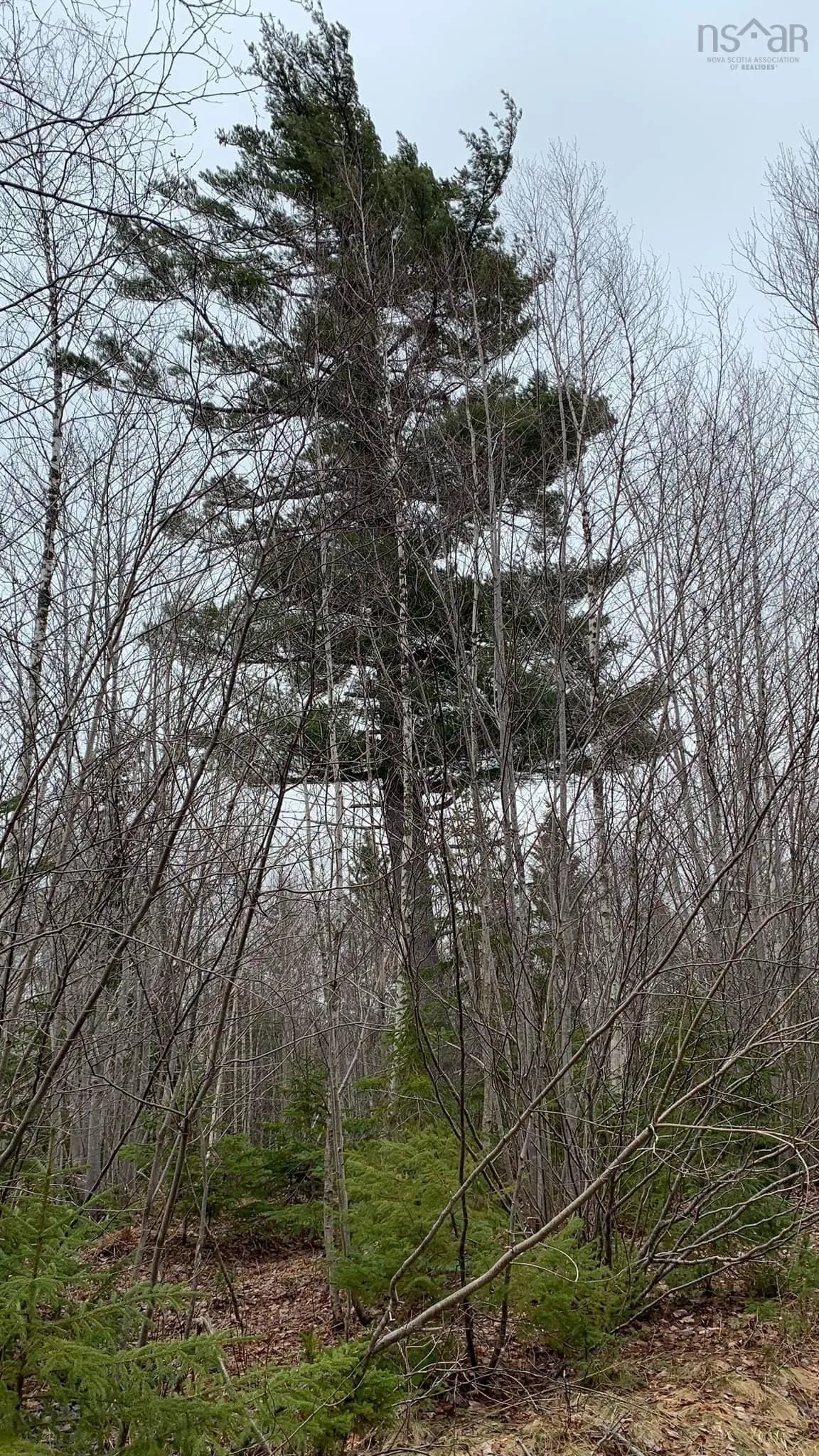 24-4 Little Harbour Road, Frasers Mountain, NS B2H 3T5, ,Land,For Sale,Little Harbour,202518269