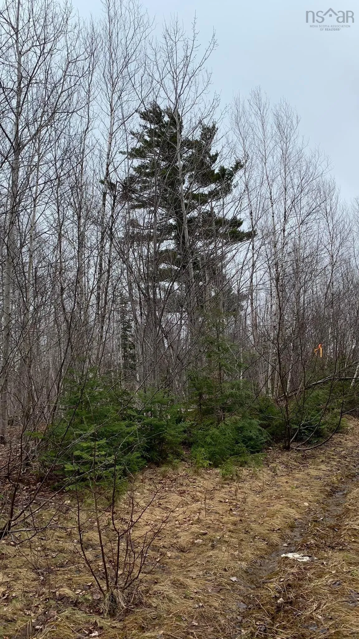 24-4 Little Harbour Road, Frasers Mountain, NS B2H 3T5, ,Land,For Sale,Little Harbour,202518269