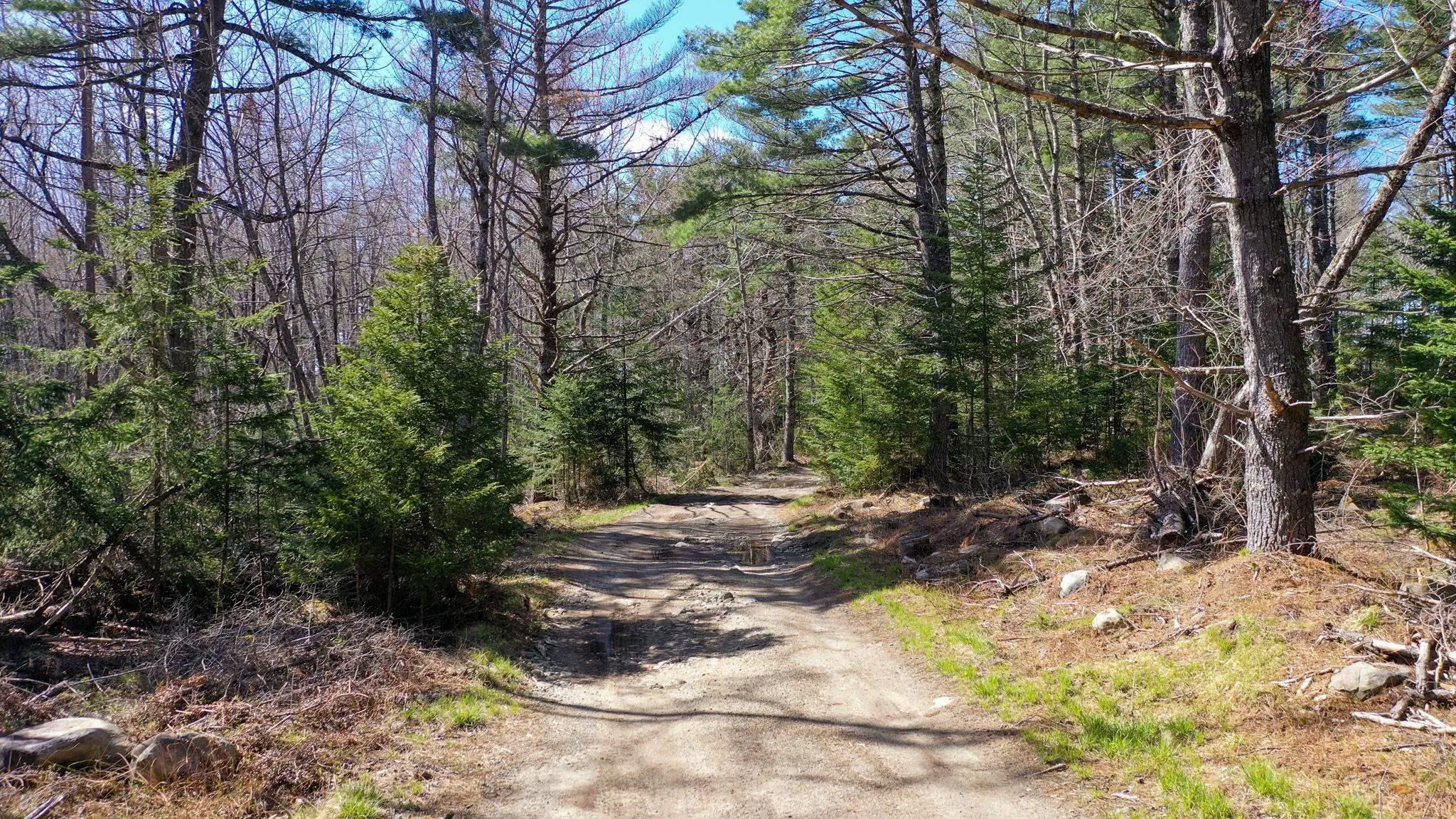 Brier Hill Road, Upper Clyde Ns B0t 1w0, ,Land,For Sale,Brier Hill,202505394
