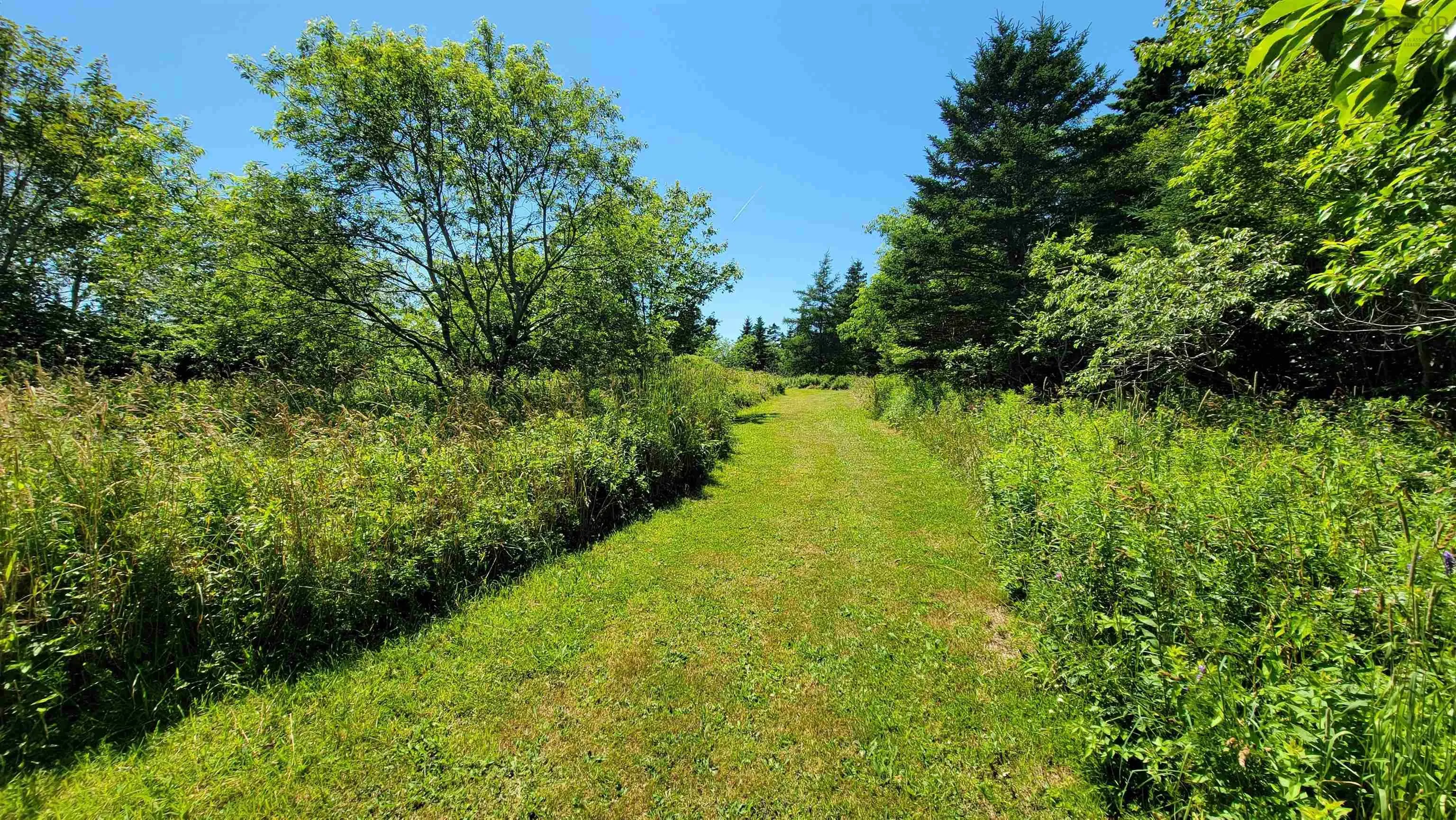 486 335 Highway, West Pubnico, NS B0W 3S0, 6 Bedrooms Bedrooms, ,2 BathroomsBathrooms,Residential,For Sale,335,202517627
