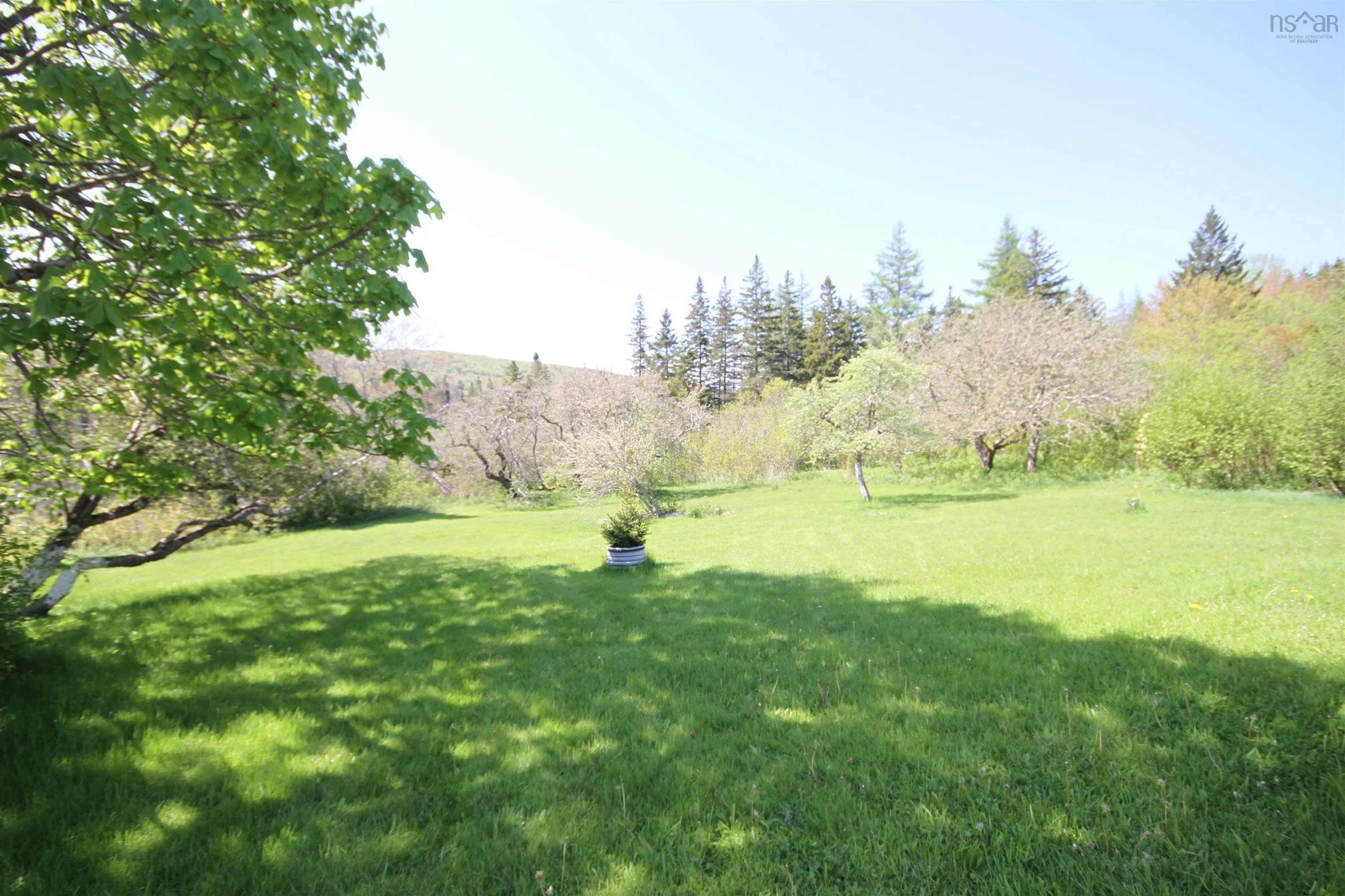 1746 South Side River Denys Rd, South Side River Denys, NS B0E 2Y0, 2 Bedrooms Bedrooms, ,1 BathroomBathrooms,Residential,For Sale,South Side River Denys Rd,202513524