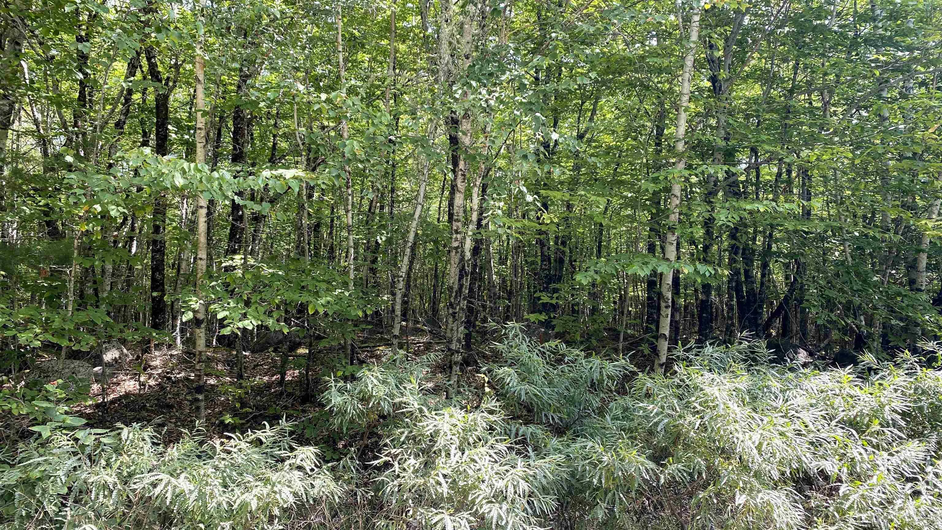 Peters Point Road Lot 18, South Brookfield, NS B0T 1X0, ,Land,For Sale,Peters Point,202521186
