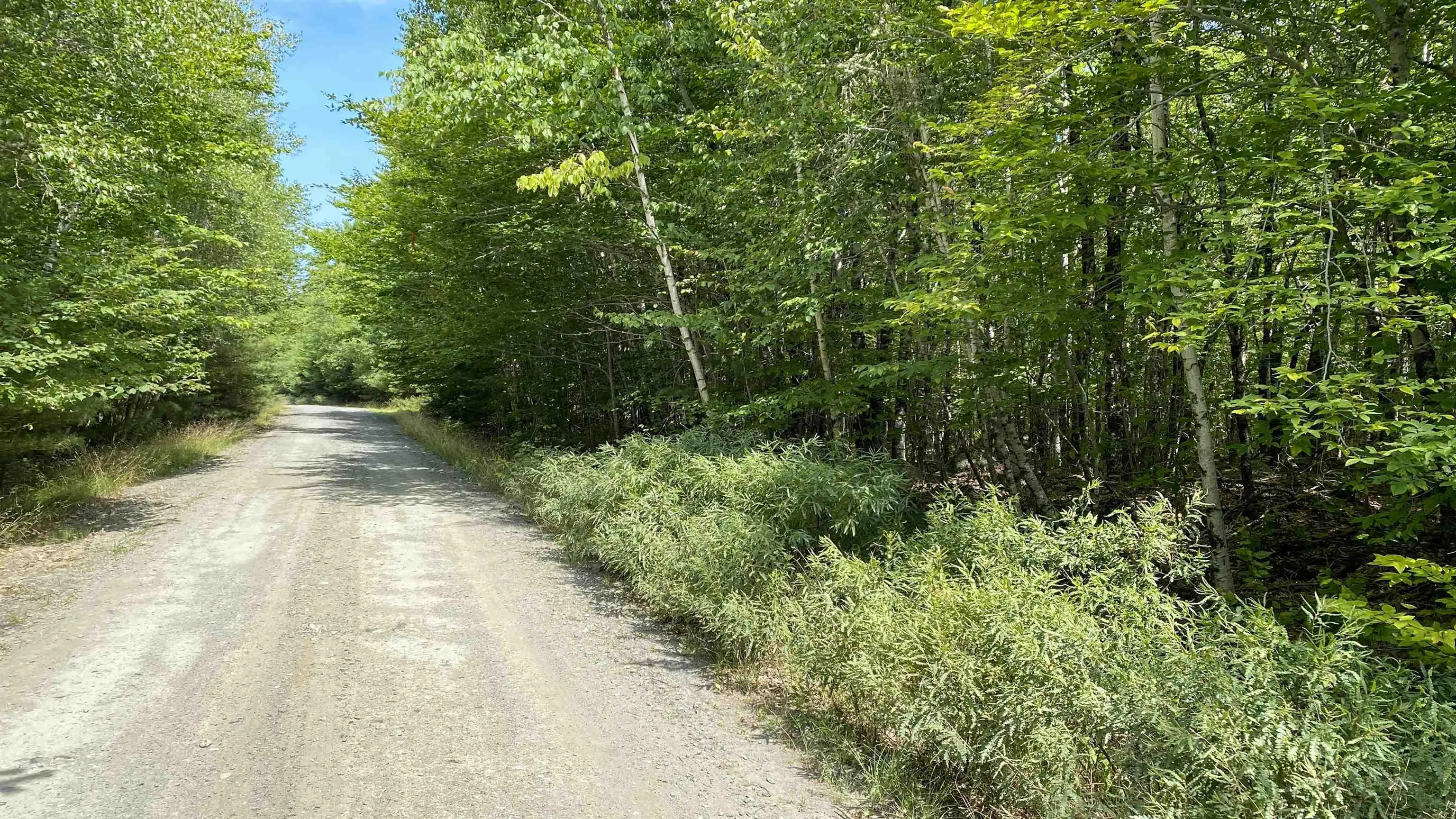 Peters Point Road Lot 18, South Brookfield, NS B0T 1X0, ,Land,For Sale,Peters Point,202521186
