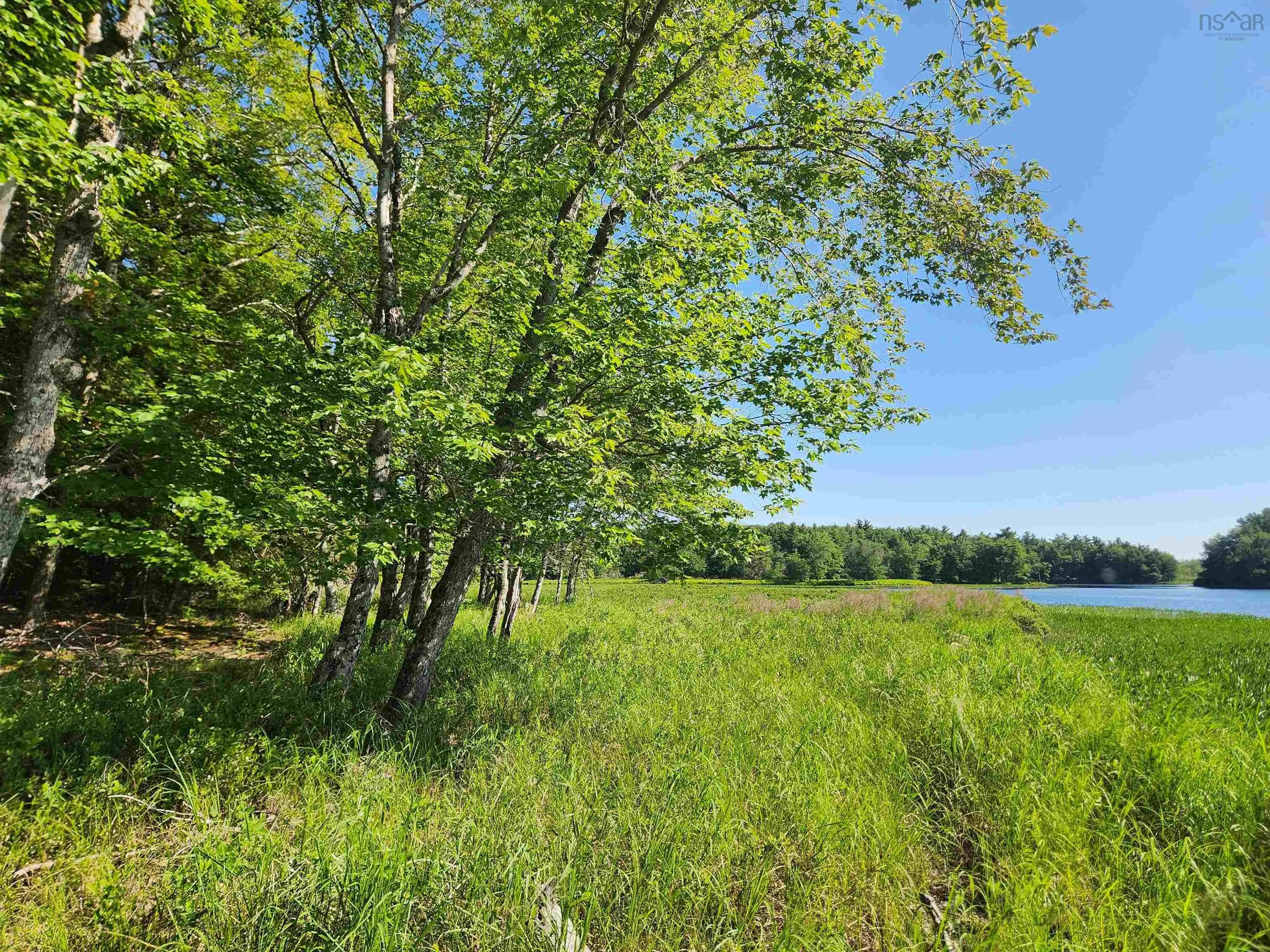 Peters Point Road Lot 18, South Brookfield, NS B0T 1X0, ,Land,For Sale,Peters Point,202521186